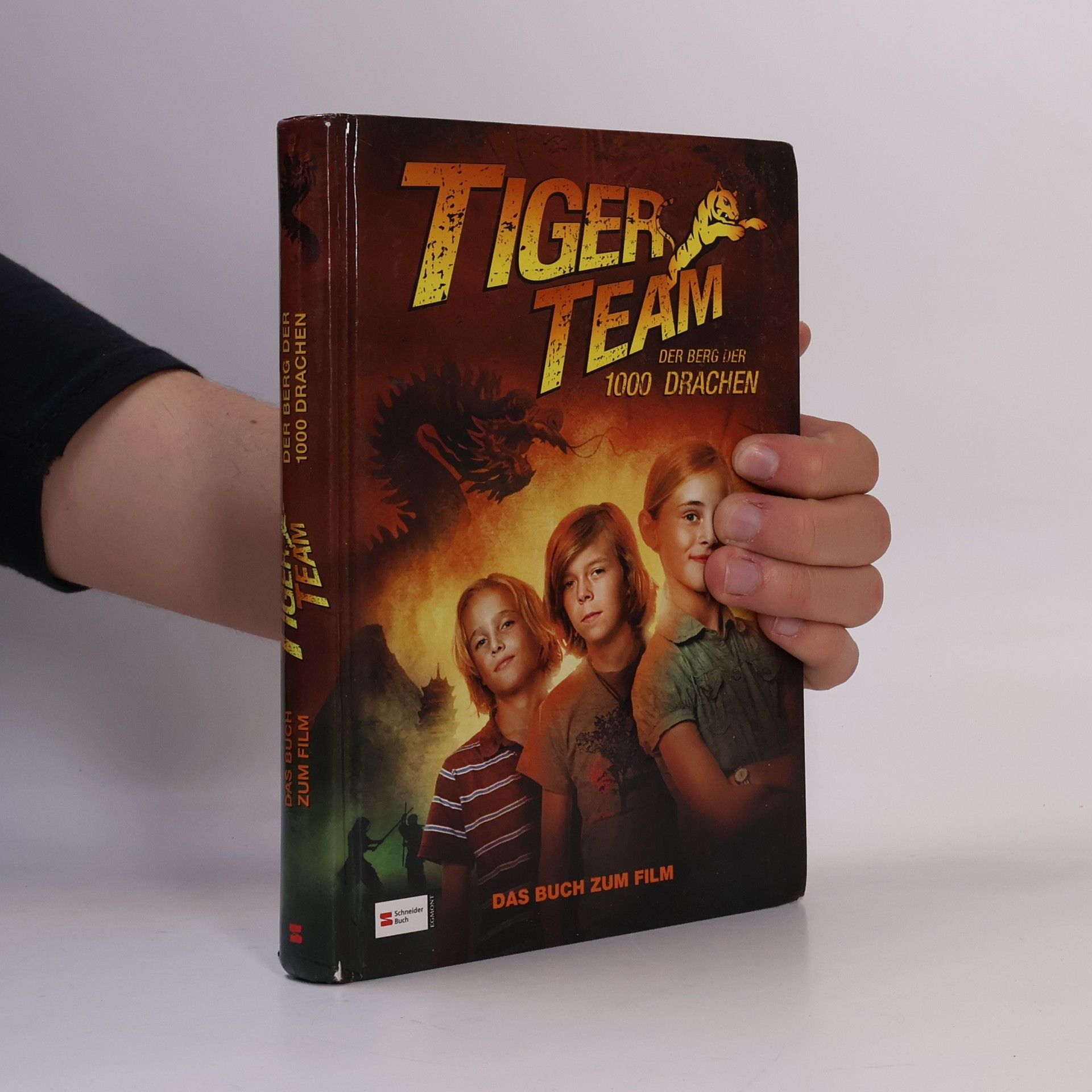 Thomas Brezina Tiger-Team, Der Berg der 1000 Drachen