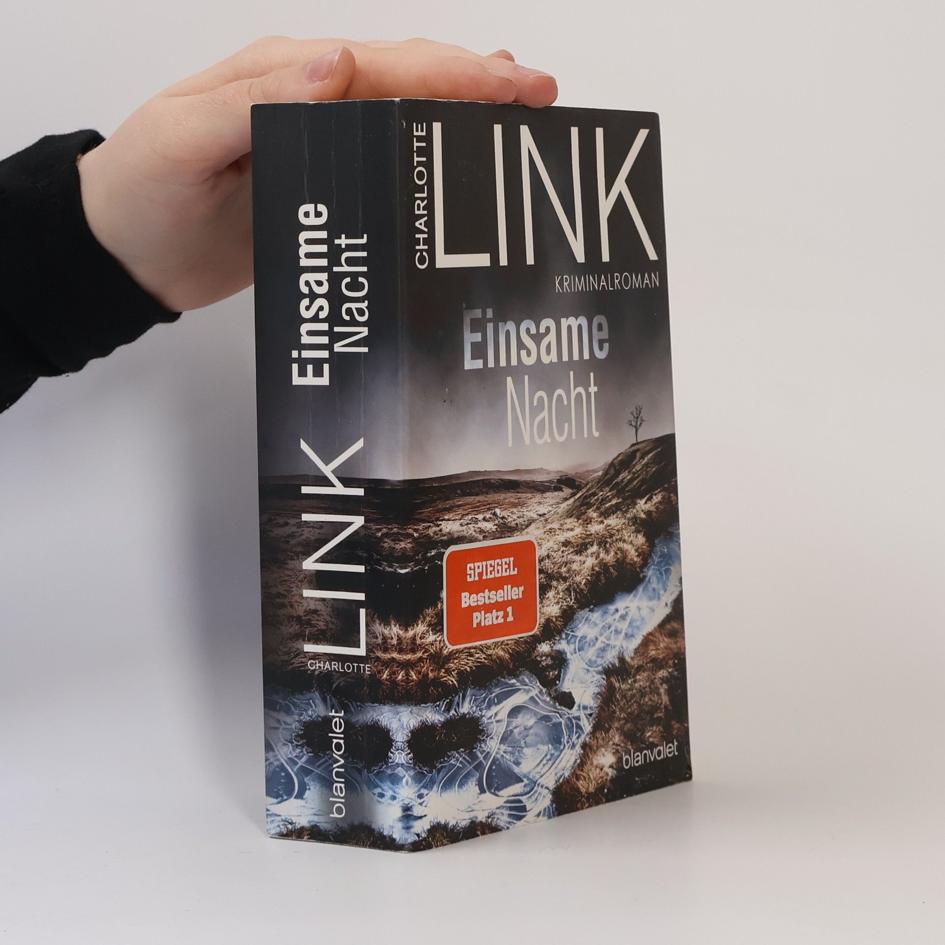 Charlotte Link Einsame Nacht