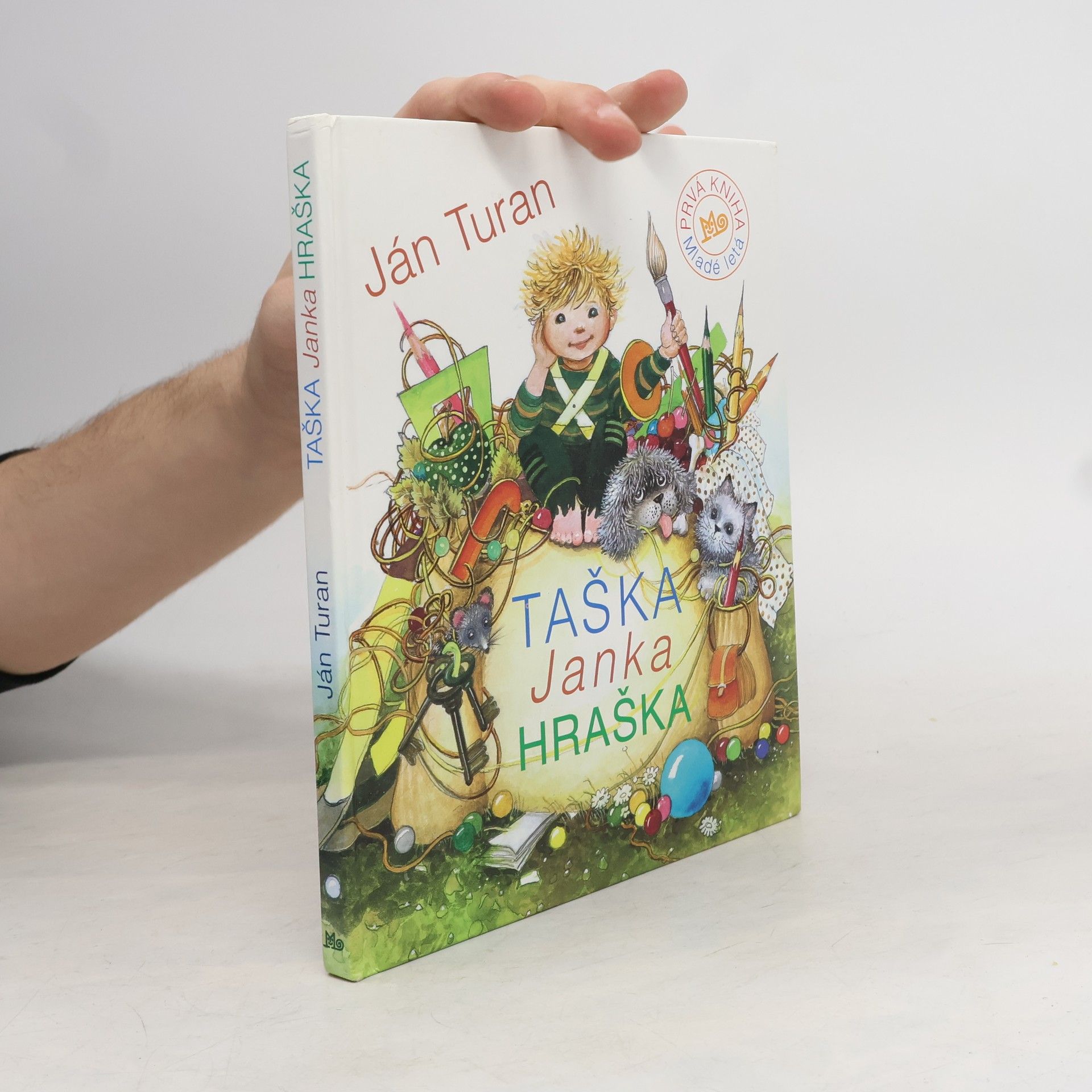 Karol Thiry Dejiny výtvarného umenia a umeleckých remesiel (pre učebné a študijné odbory SOŠ a SOU)