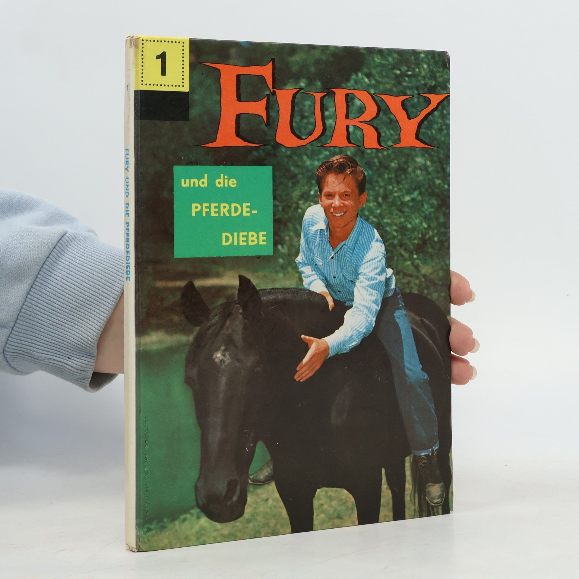 René van Nerum Fury 1