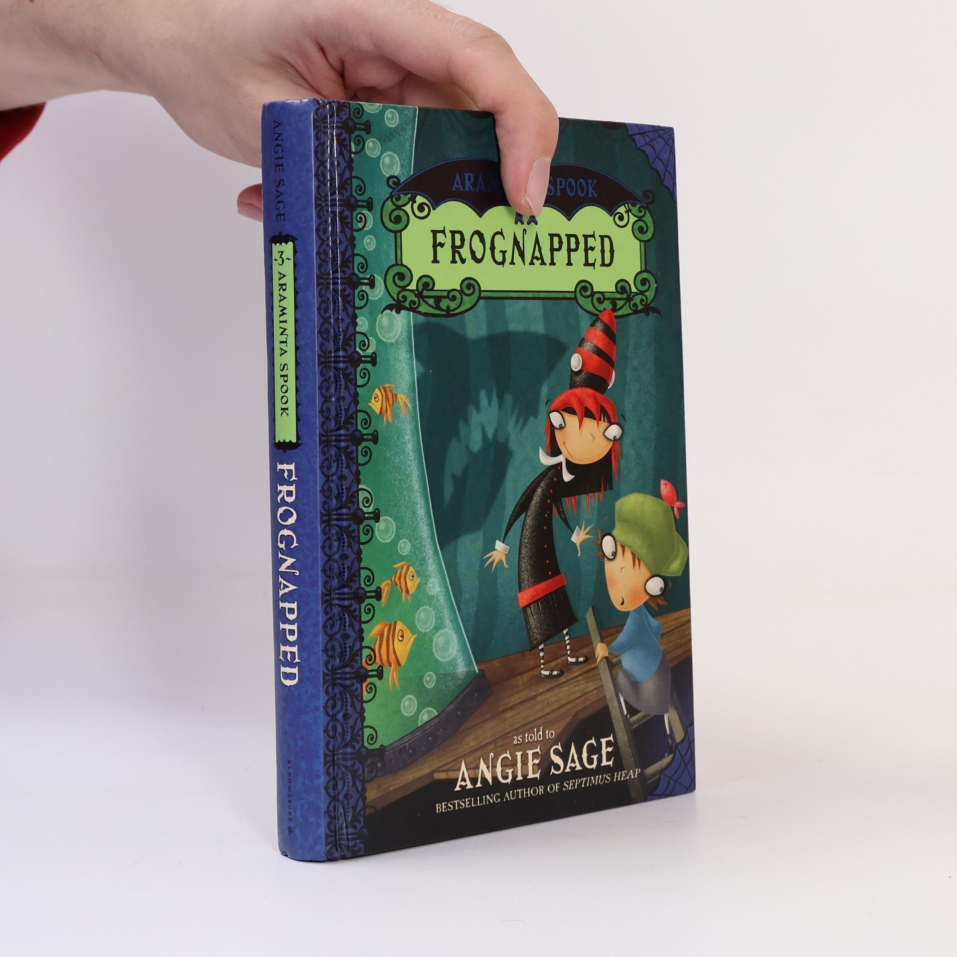 Angie Sage Frognapped