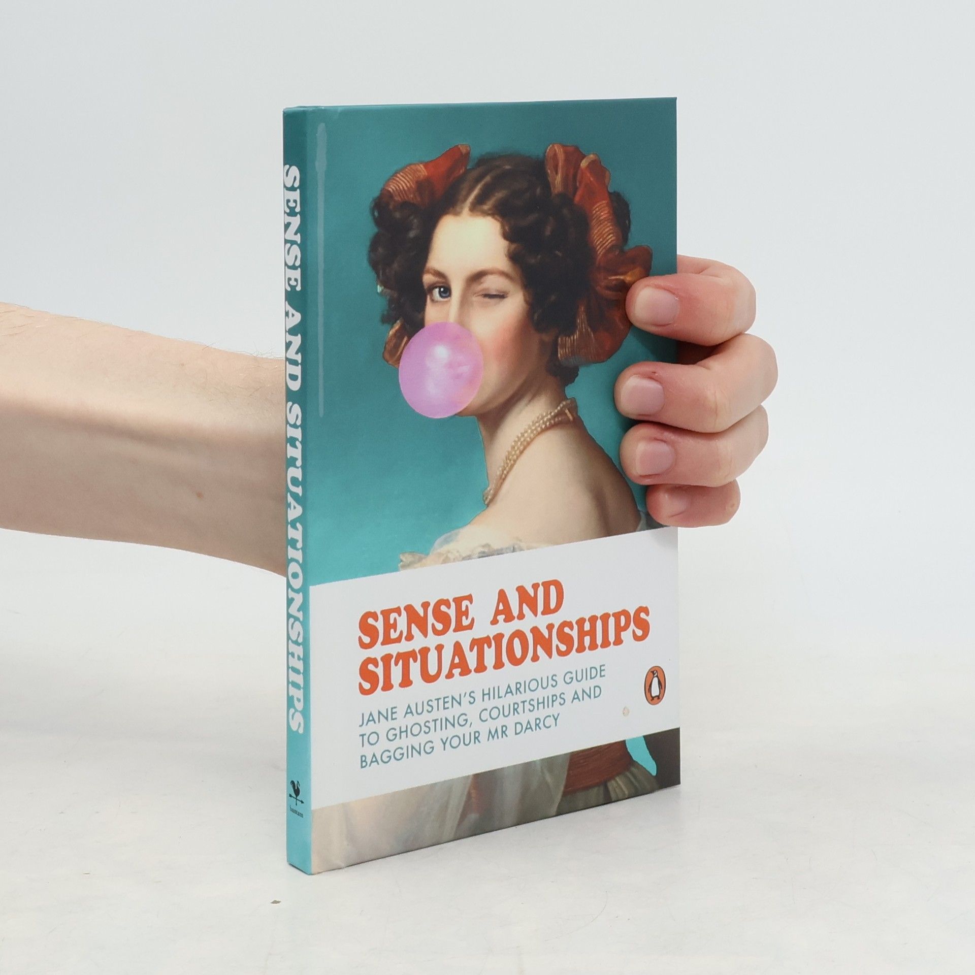 Satu Hämeenaho-Fox Sense and Situationships