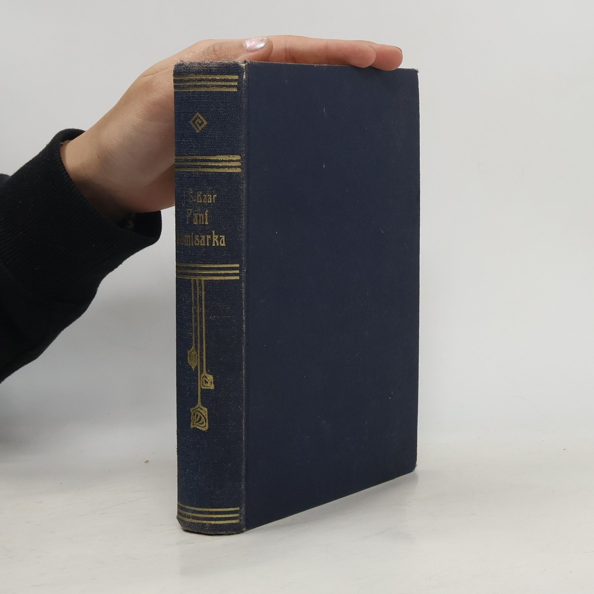 Jindřich Šimon Baar Paní komisarka (svazek 24)