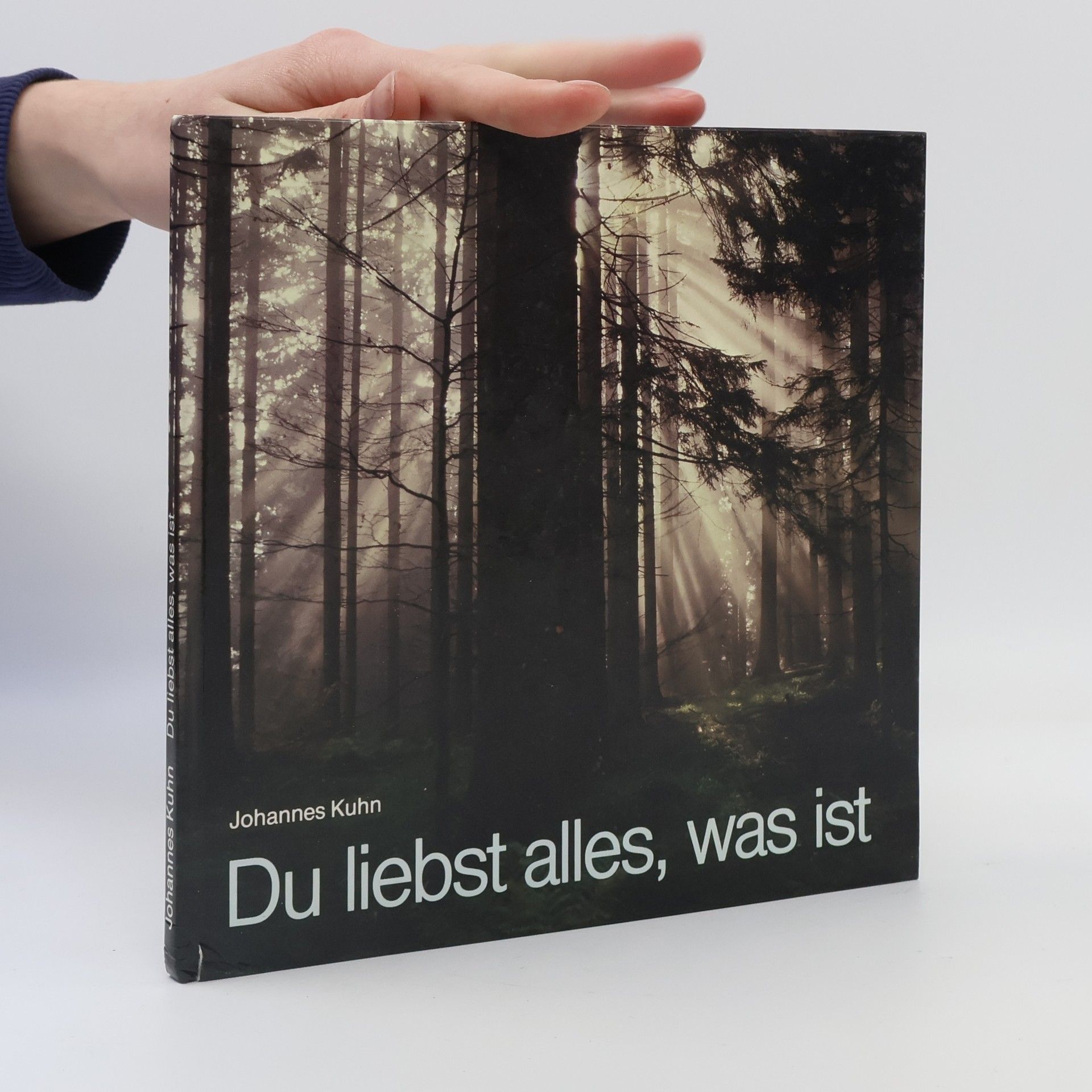 Johannes Kühn Du liebst alles, was ist