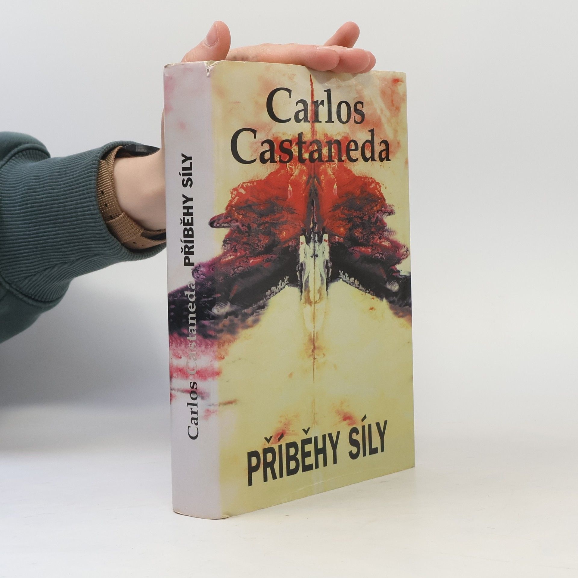 Carlos Castaneda Příběh síly