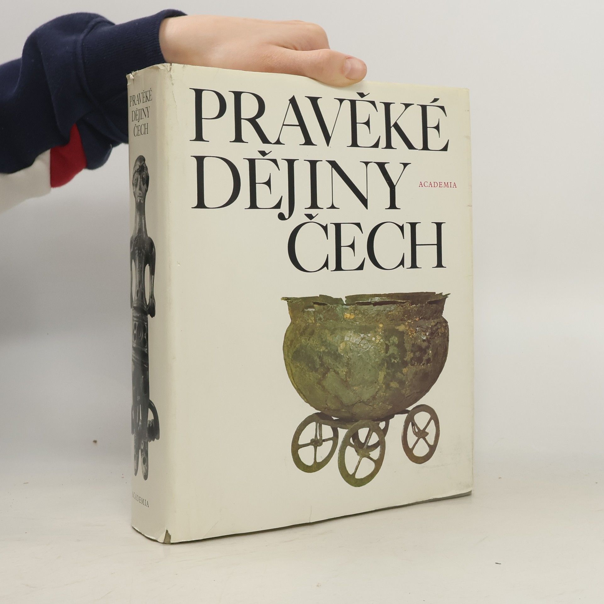 Alena Rybová Pravěké dějiny Čech