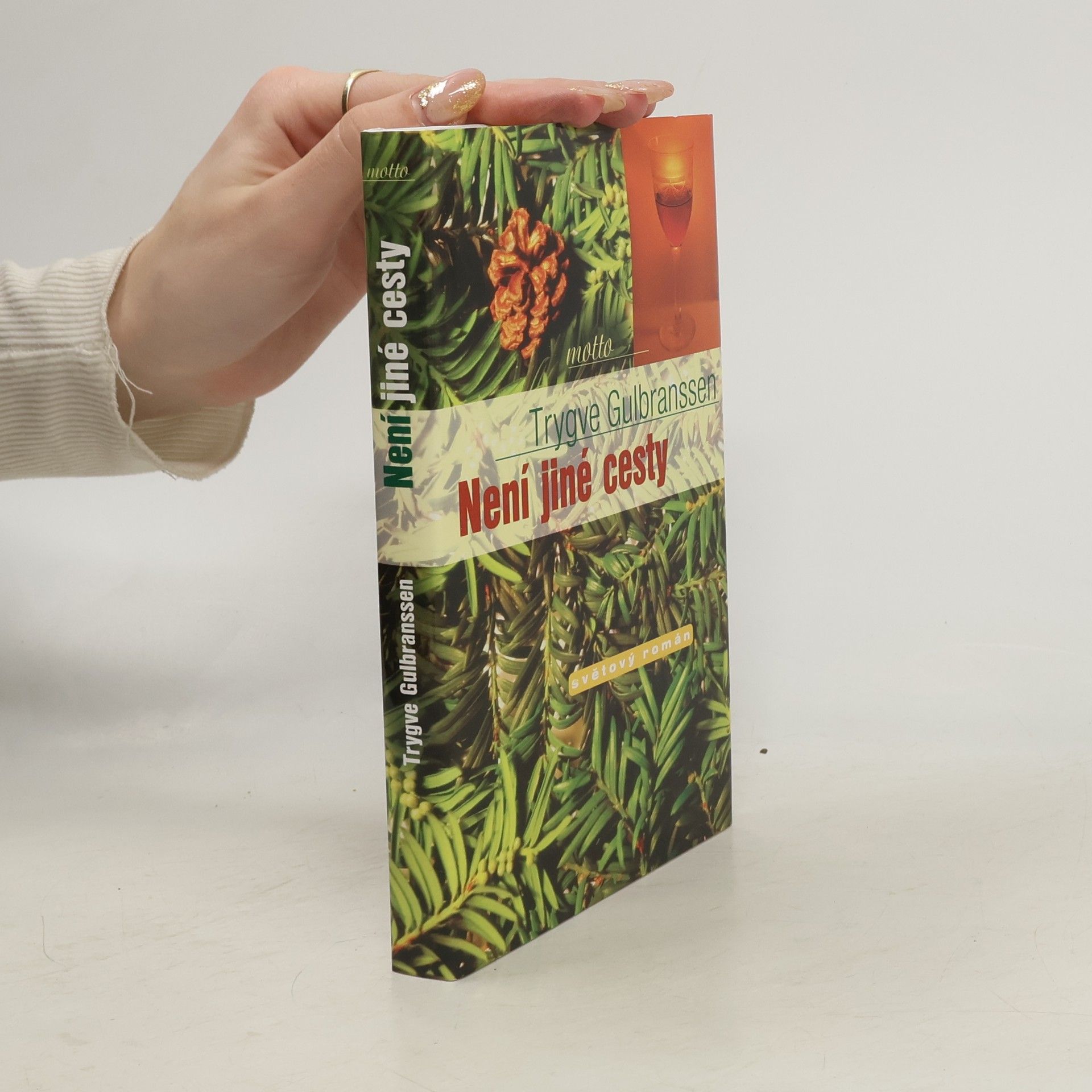 Trygve Gulbranssen Není jiné cesty. Věčně zpívají lesy 3