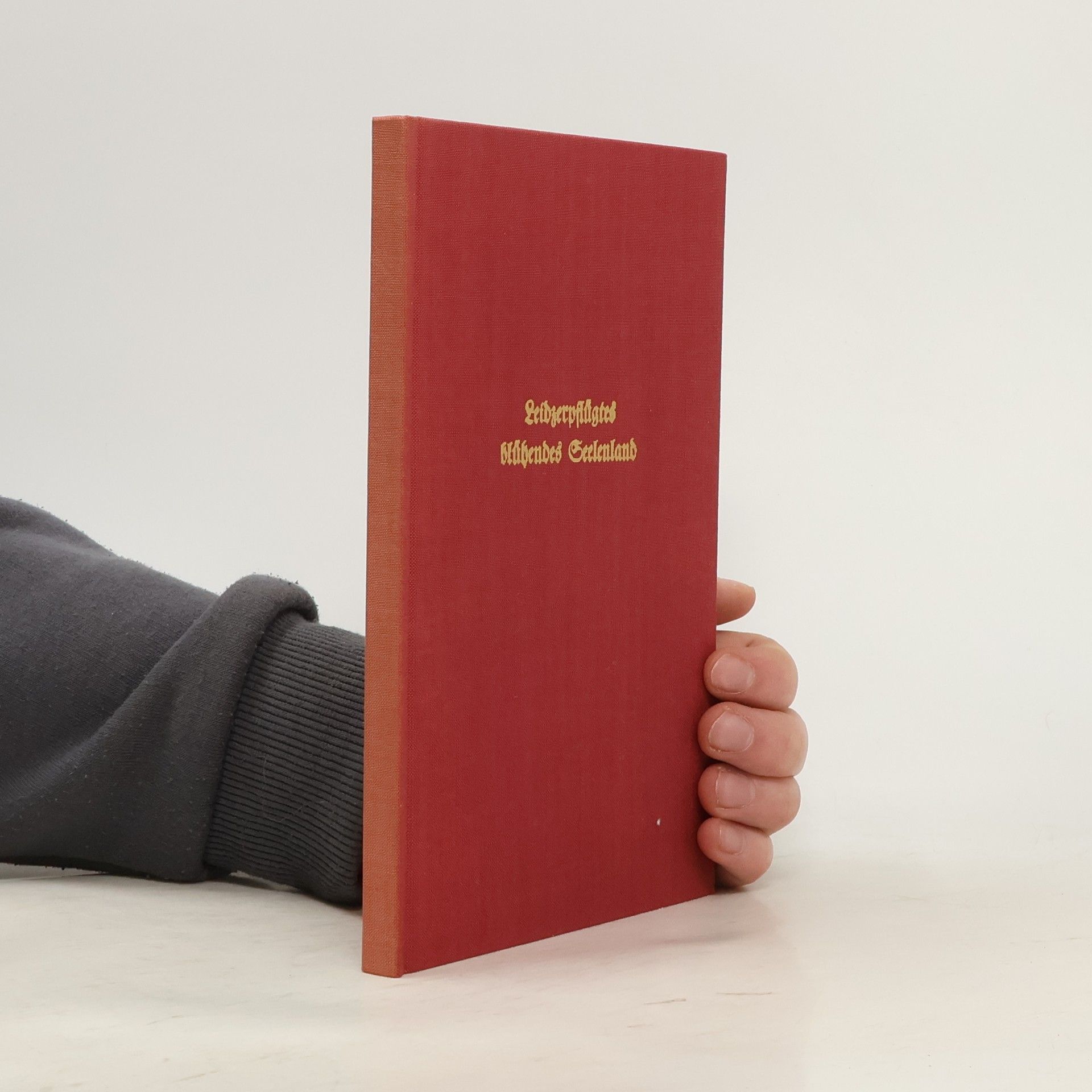 Bianca Strohschneider Leidzerpflügtes blühendes Seelenland