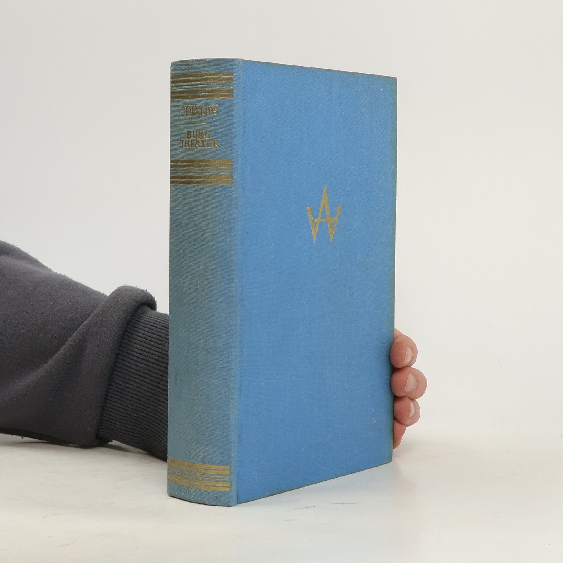 Lilly Wildgans Anton Wildgans und das Burgtheater