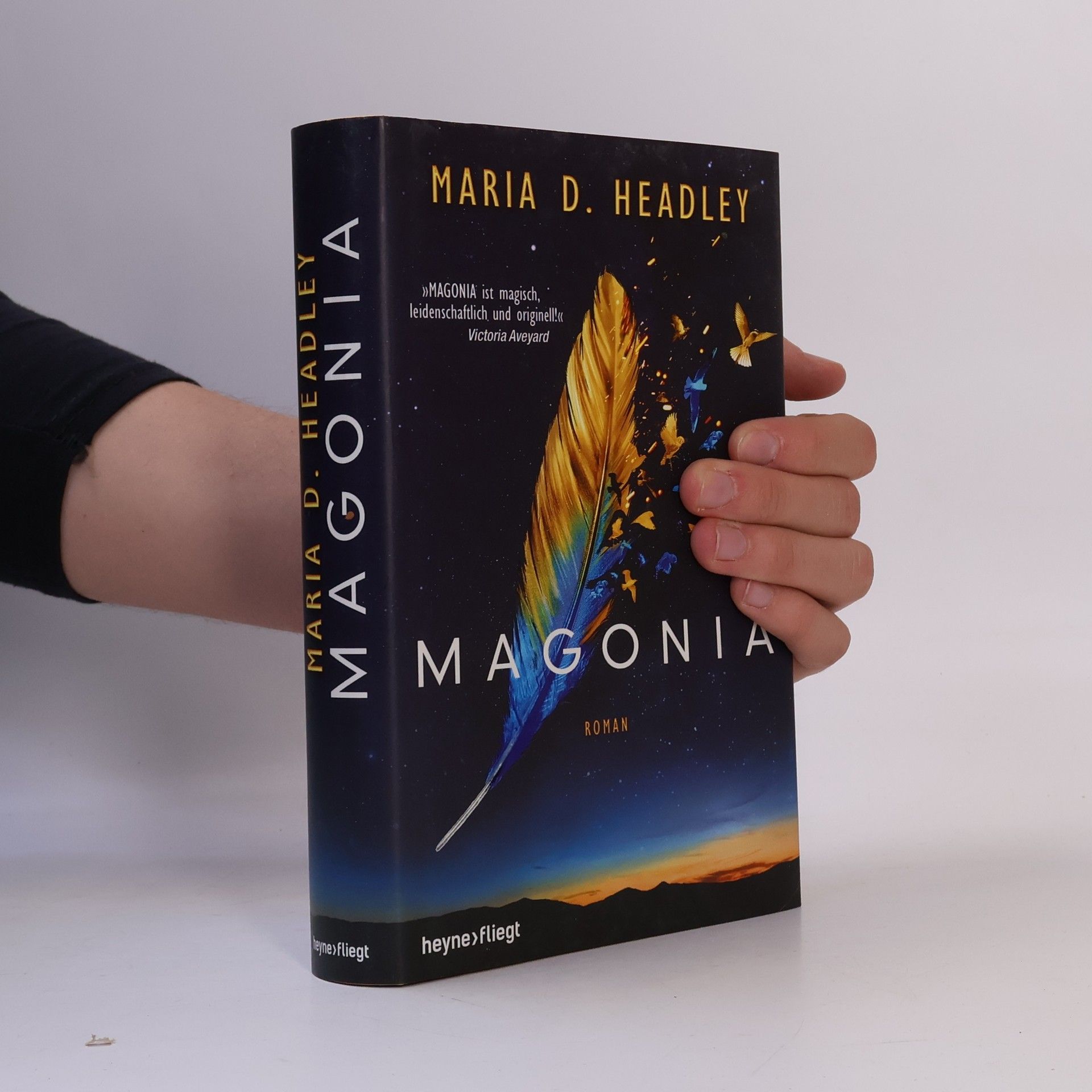 Maria Dahvana Headsley Magonia