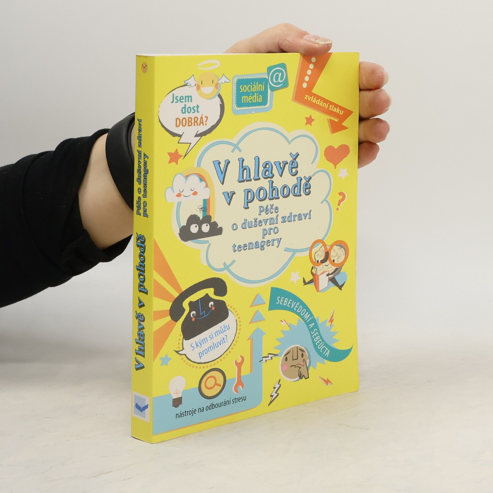 Louie Stowell V hlavě v pohodě : péče o duševní zdraví pro teenagery