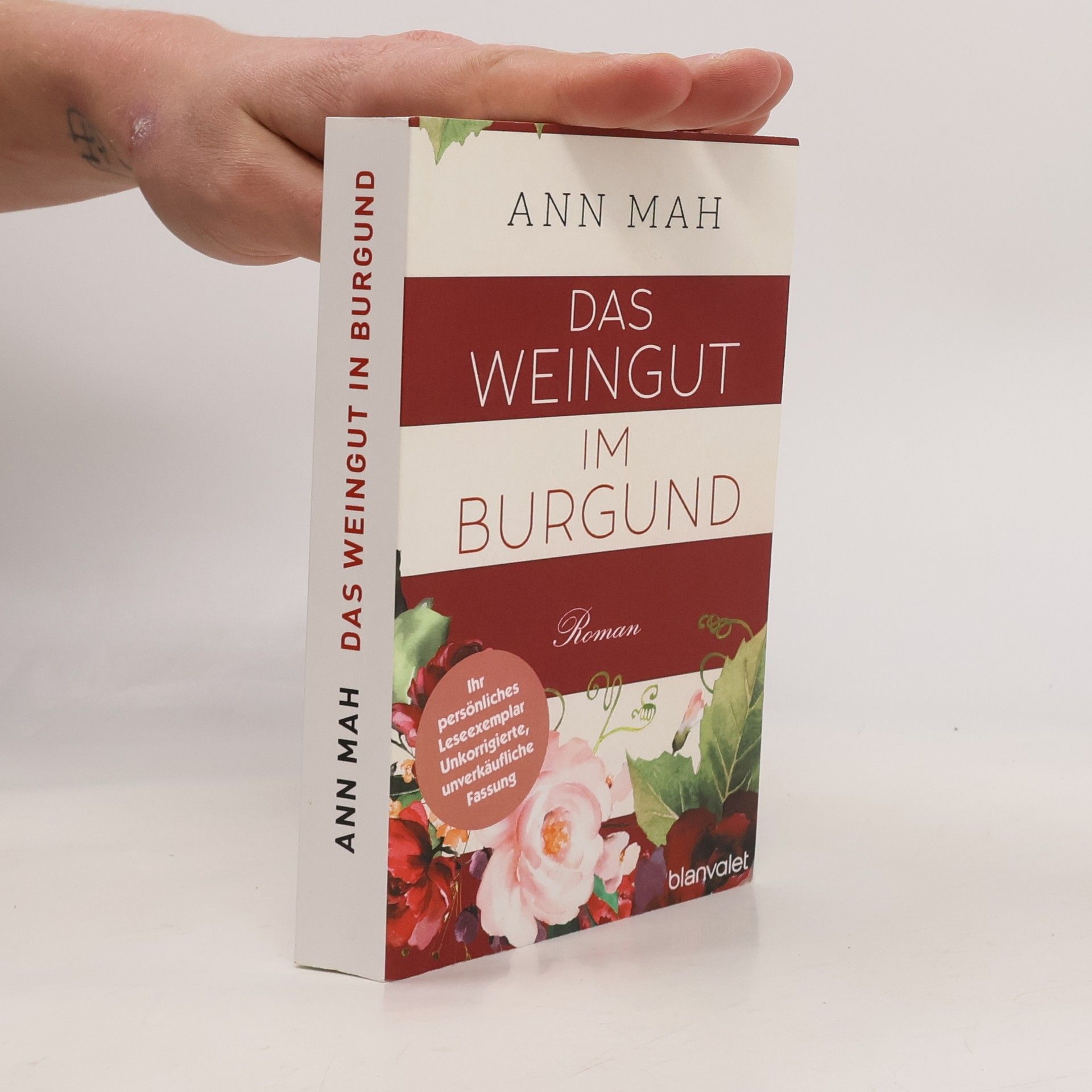 Das Weingut im Burgund