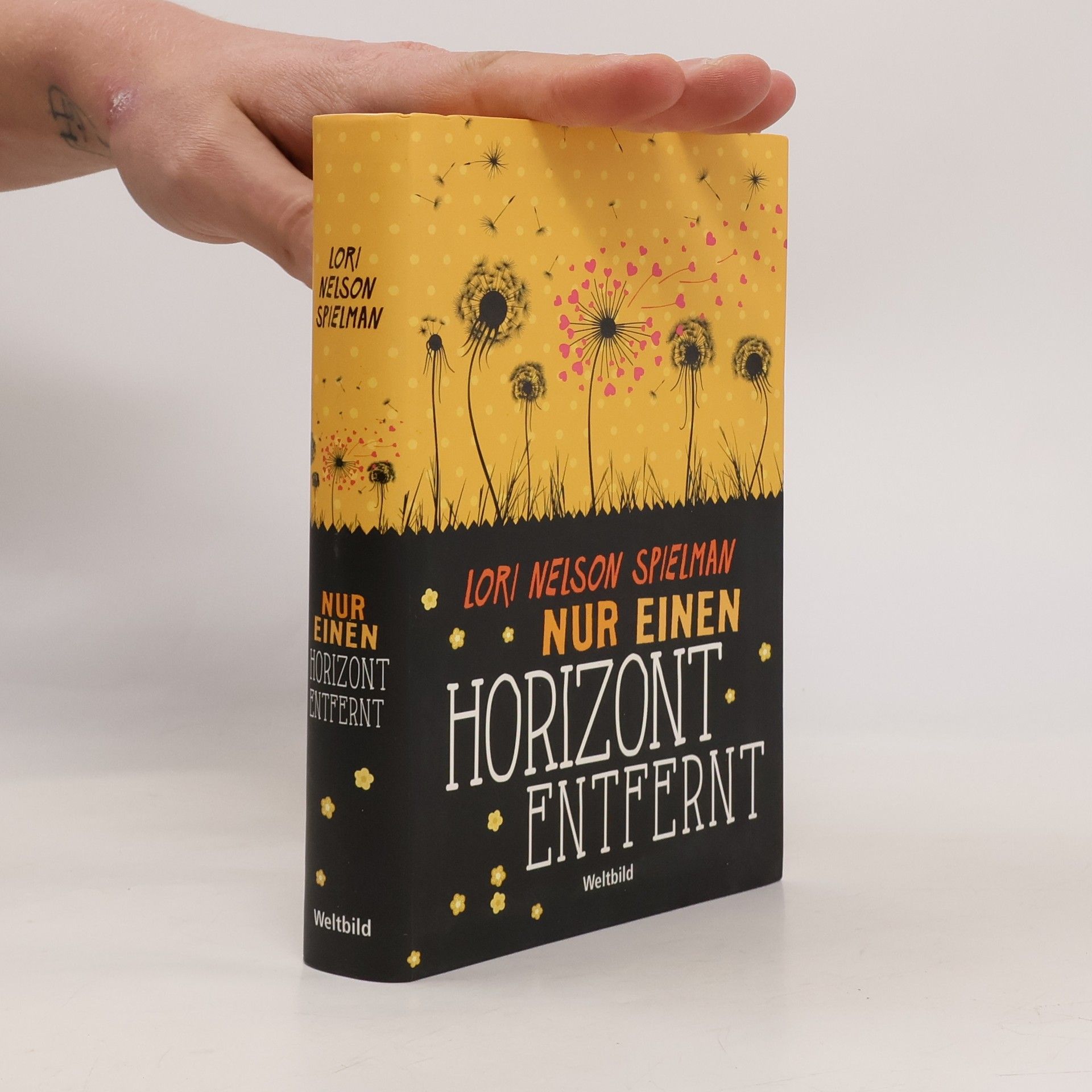 Lori Nelson Spielman Nur einen Horizont entfernt