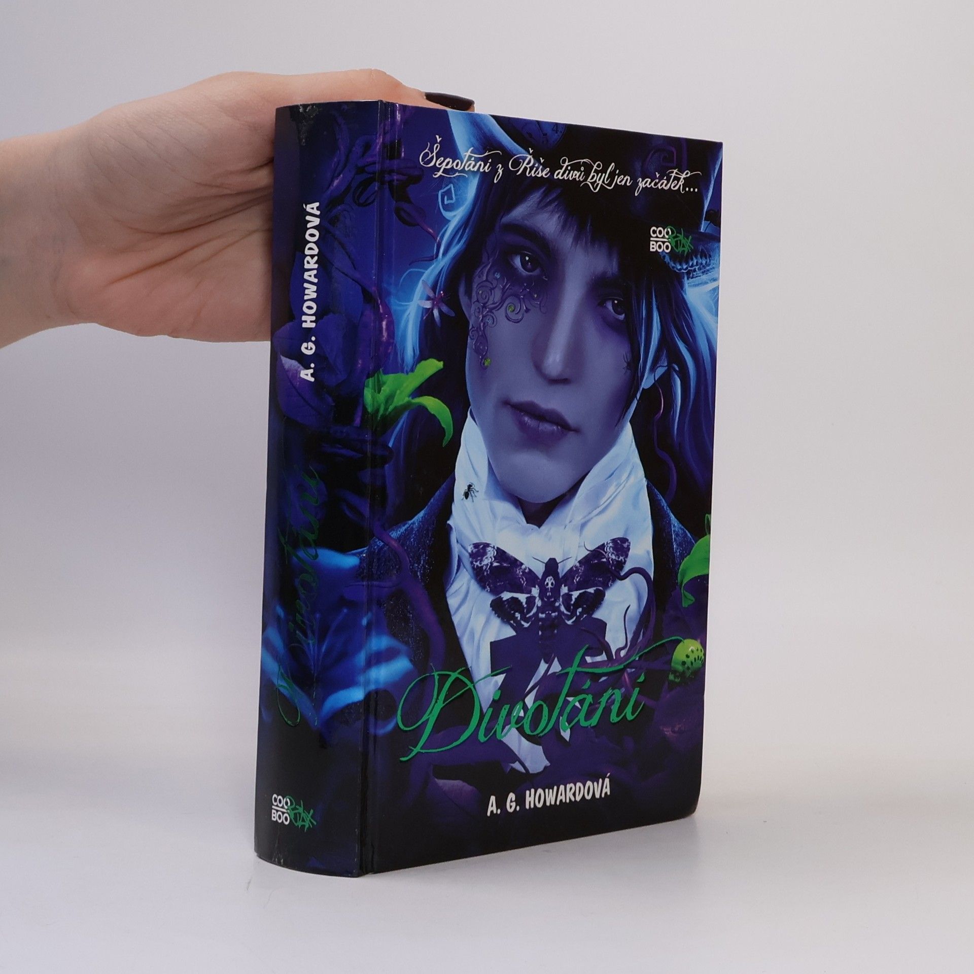 A. G. Howard Divotání. 2. díl