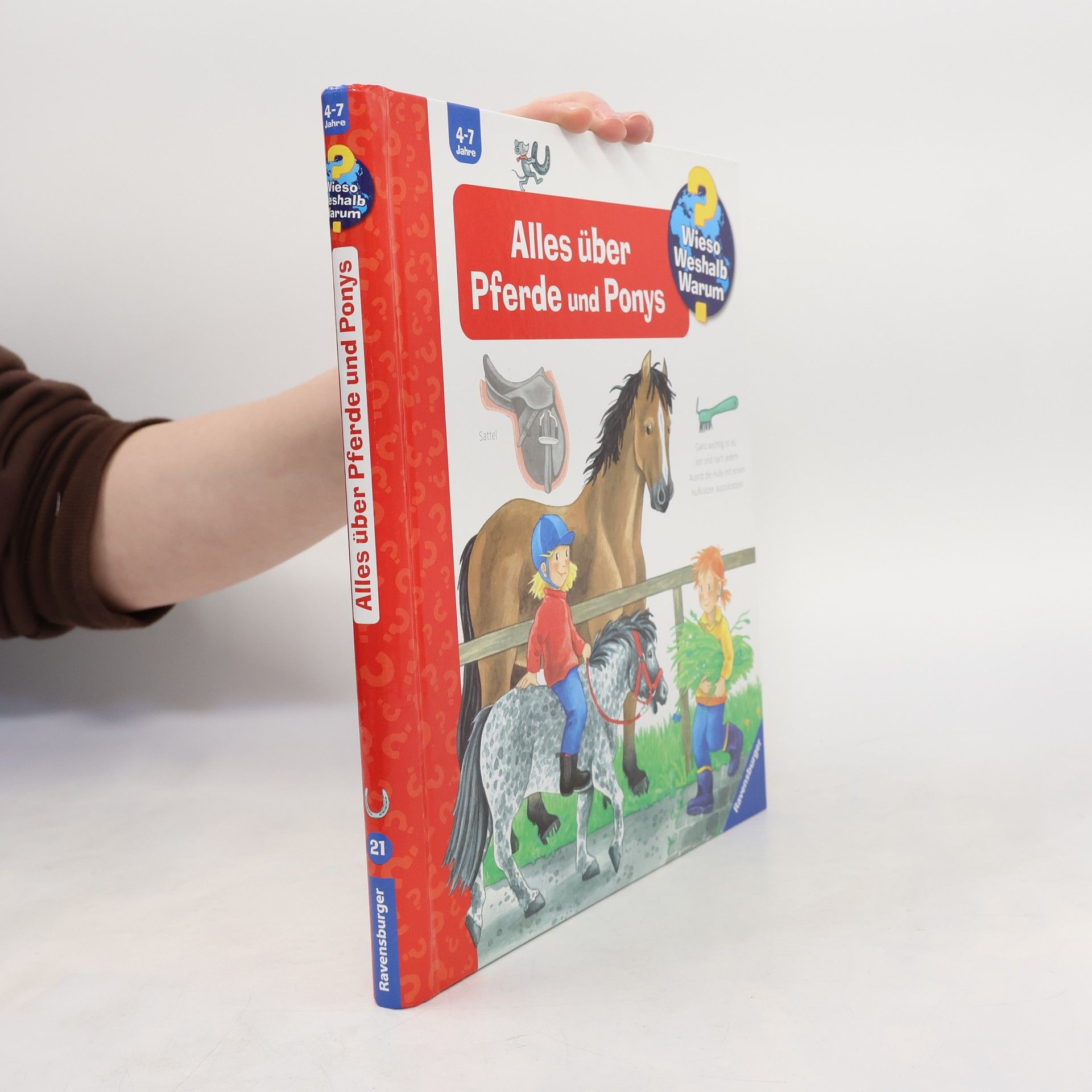 Andrea Erne Alles über Pferde und Ponys
