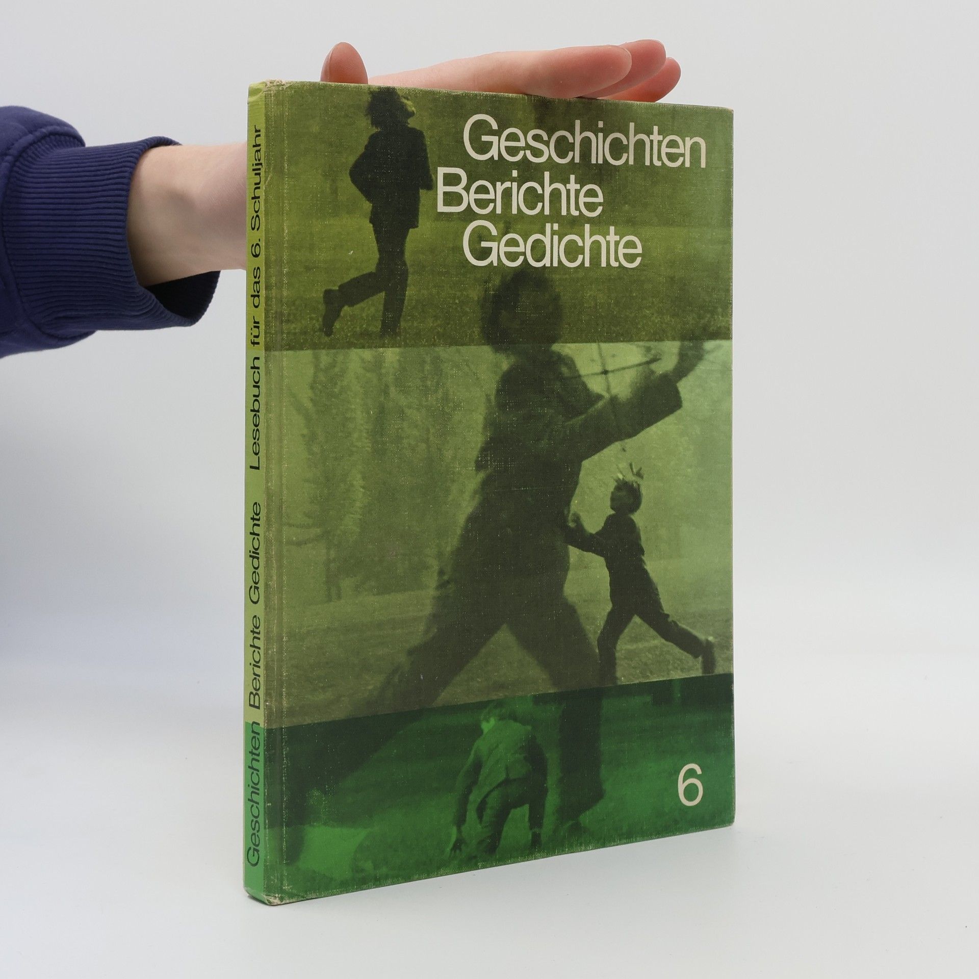 Kolektiv autorů Geschichten Berichte Gedichte