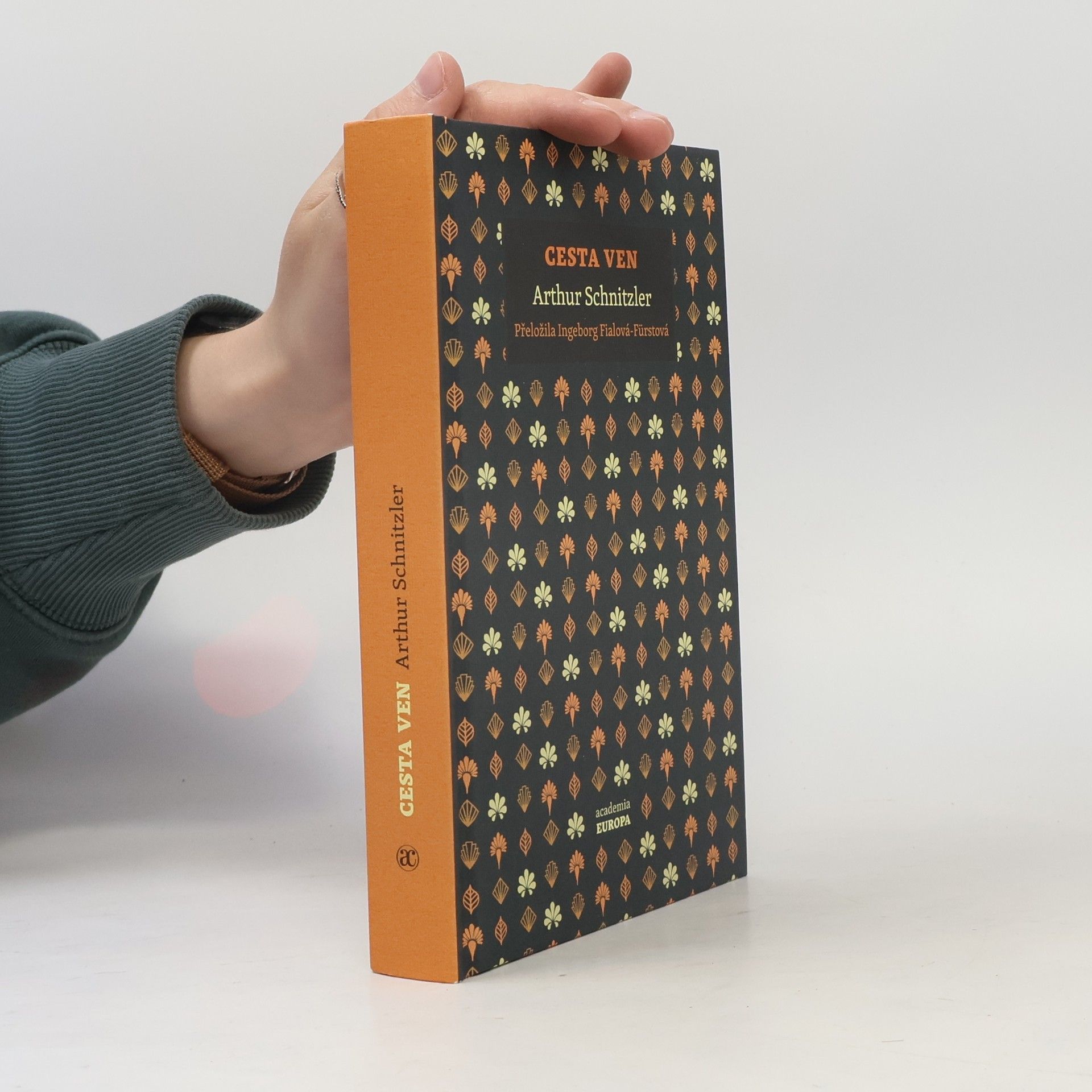 Arthur Schnitzler Cesta ven