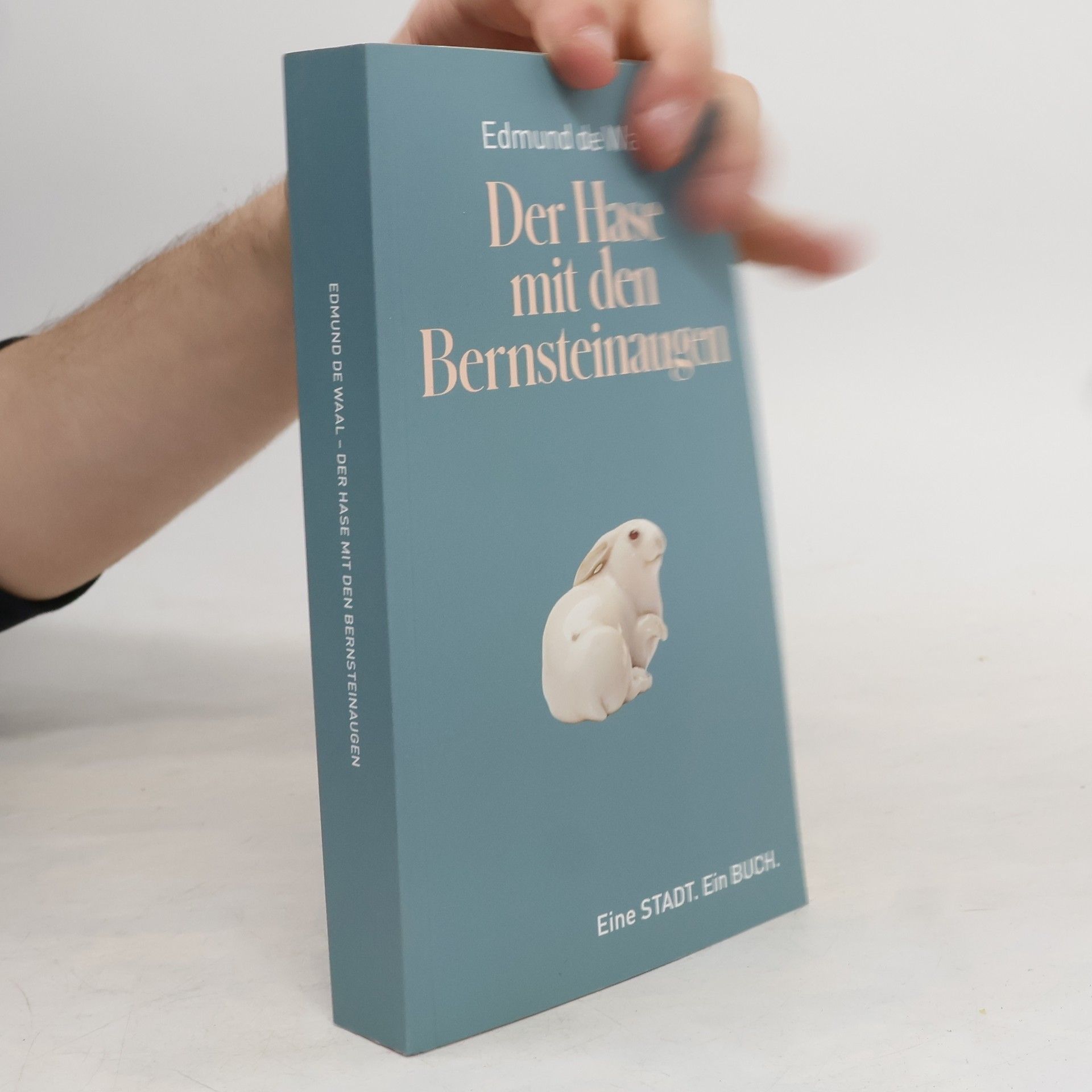 Edmund De Waal Der Hase mit den Bernsteinaugen