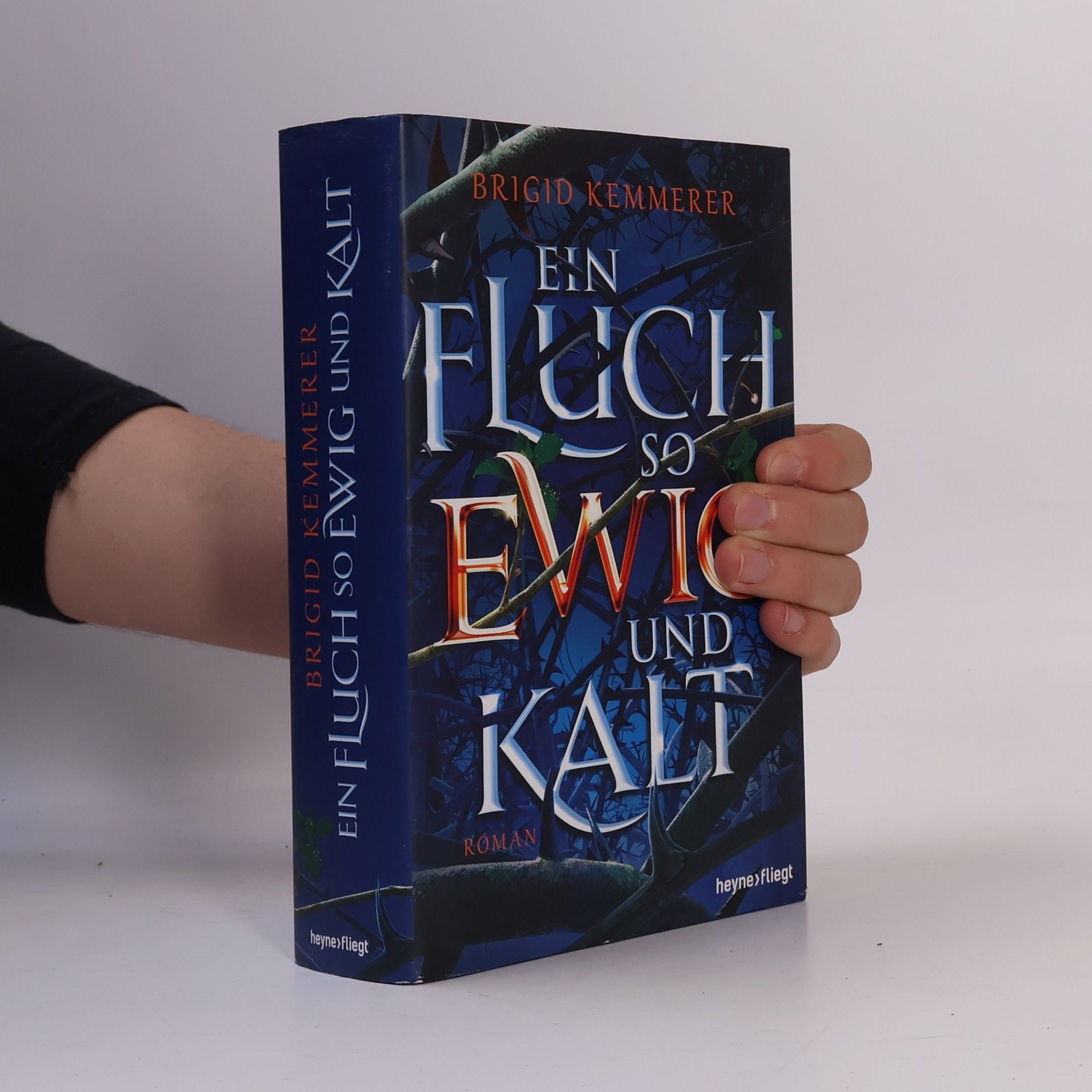 Brigid Kemmerer Ein Fluch so ewig und kalt