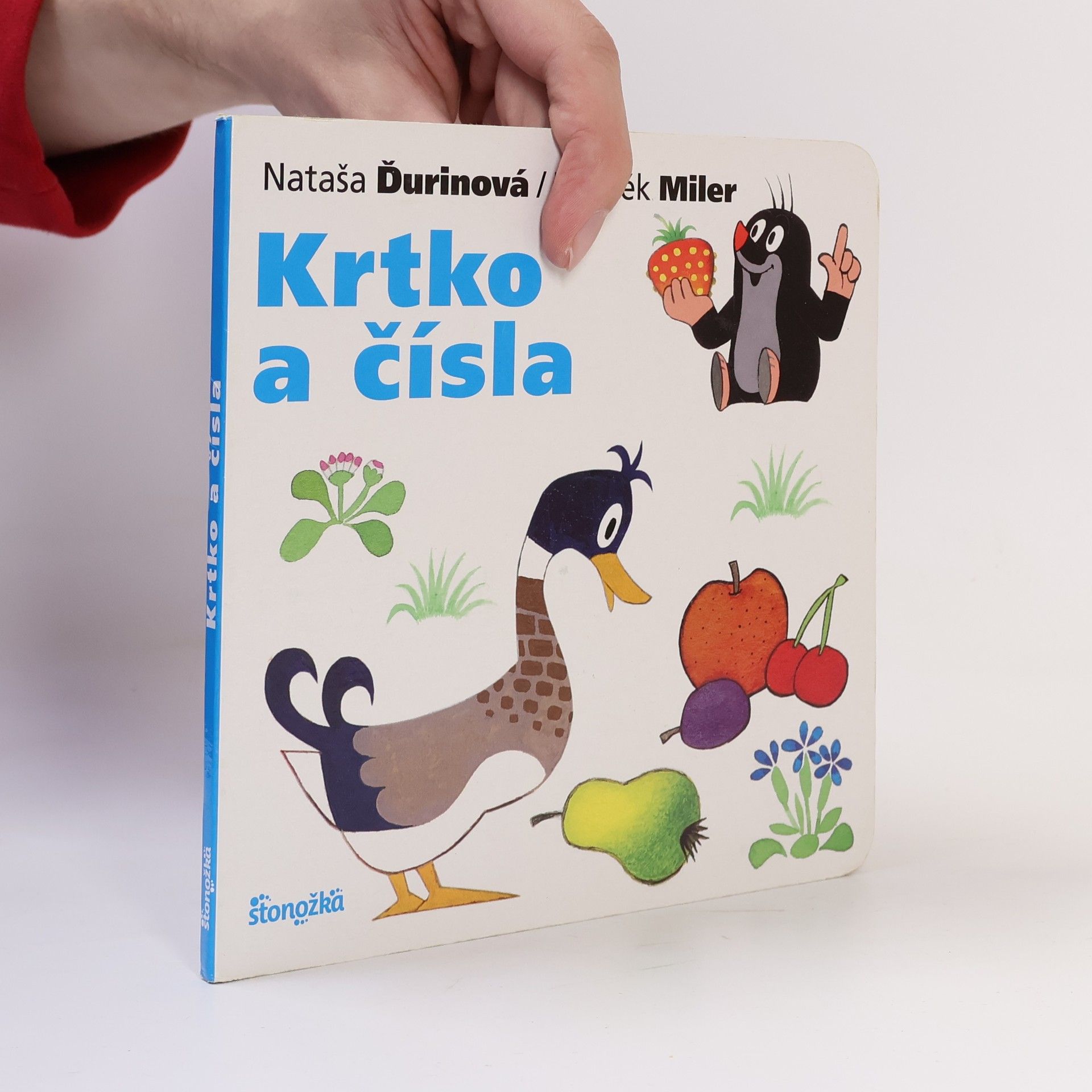 Krtko a čísla