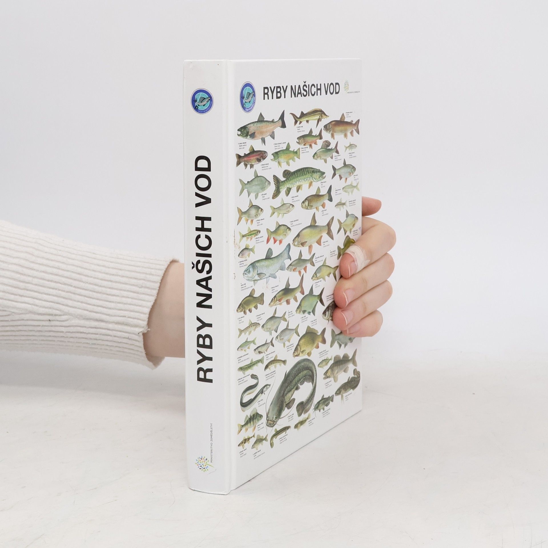 Kolektiv autorů Ryby našich vod