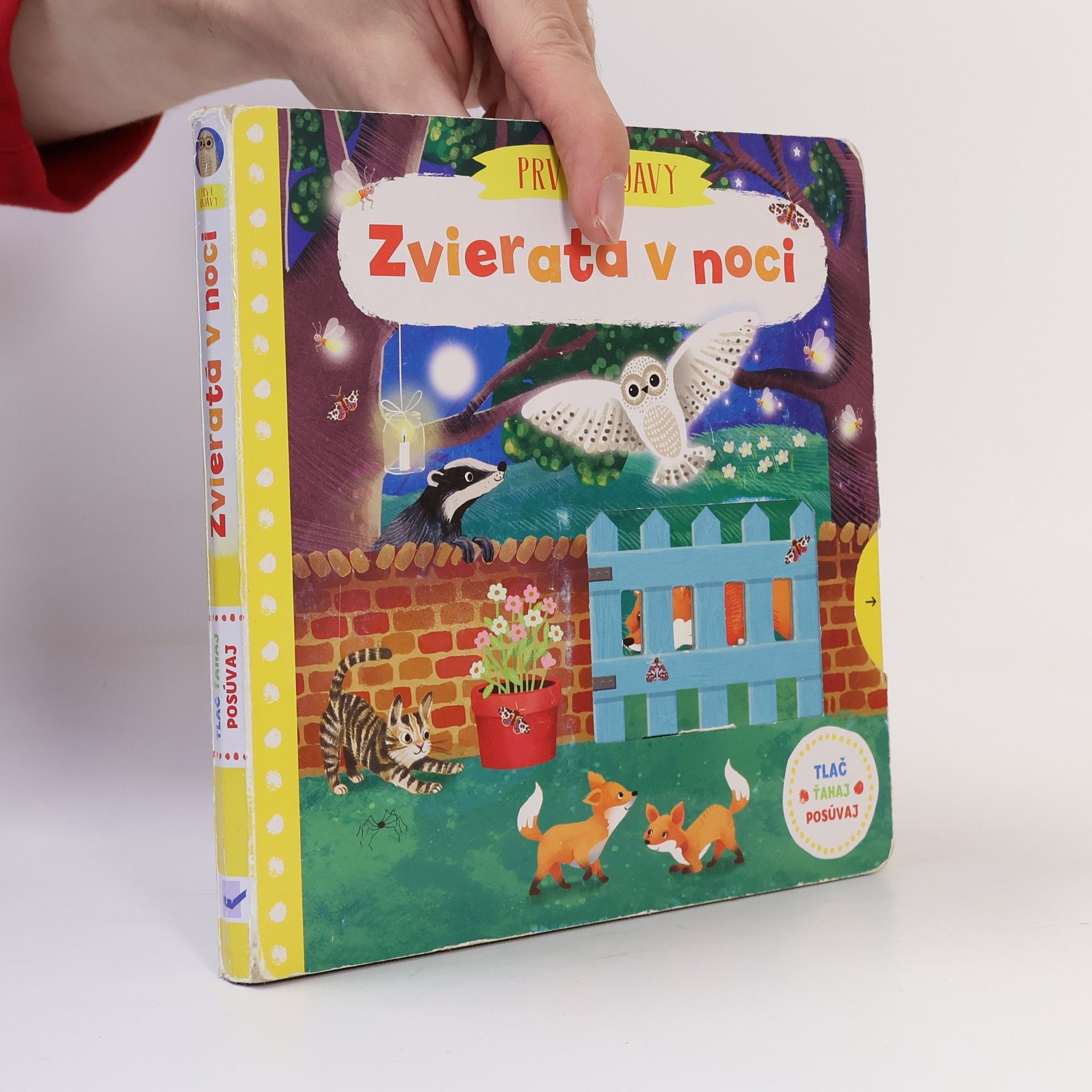 Autorenkollektiv Zvieratá v noci