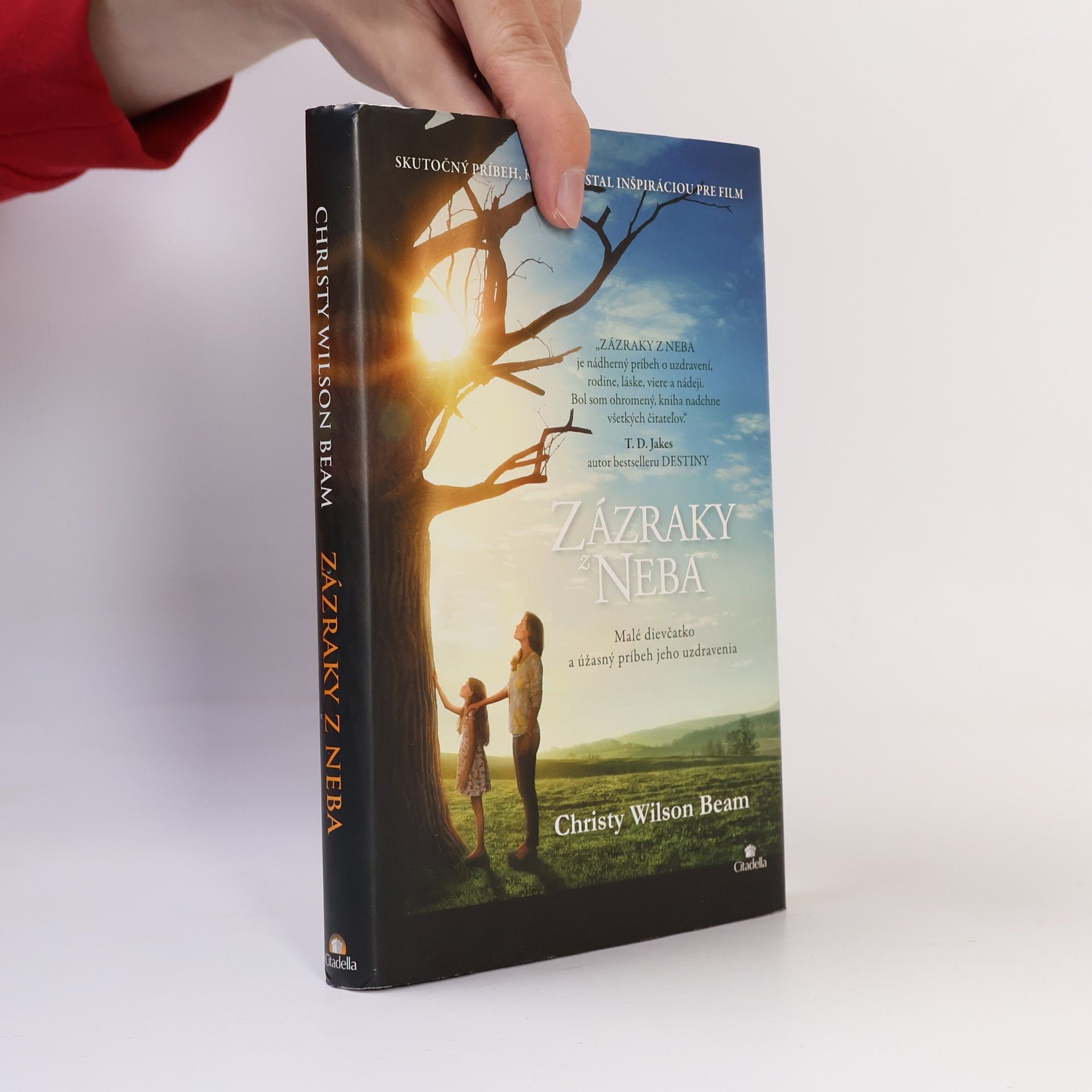 Christy Wilson Beam Zázraky z neba