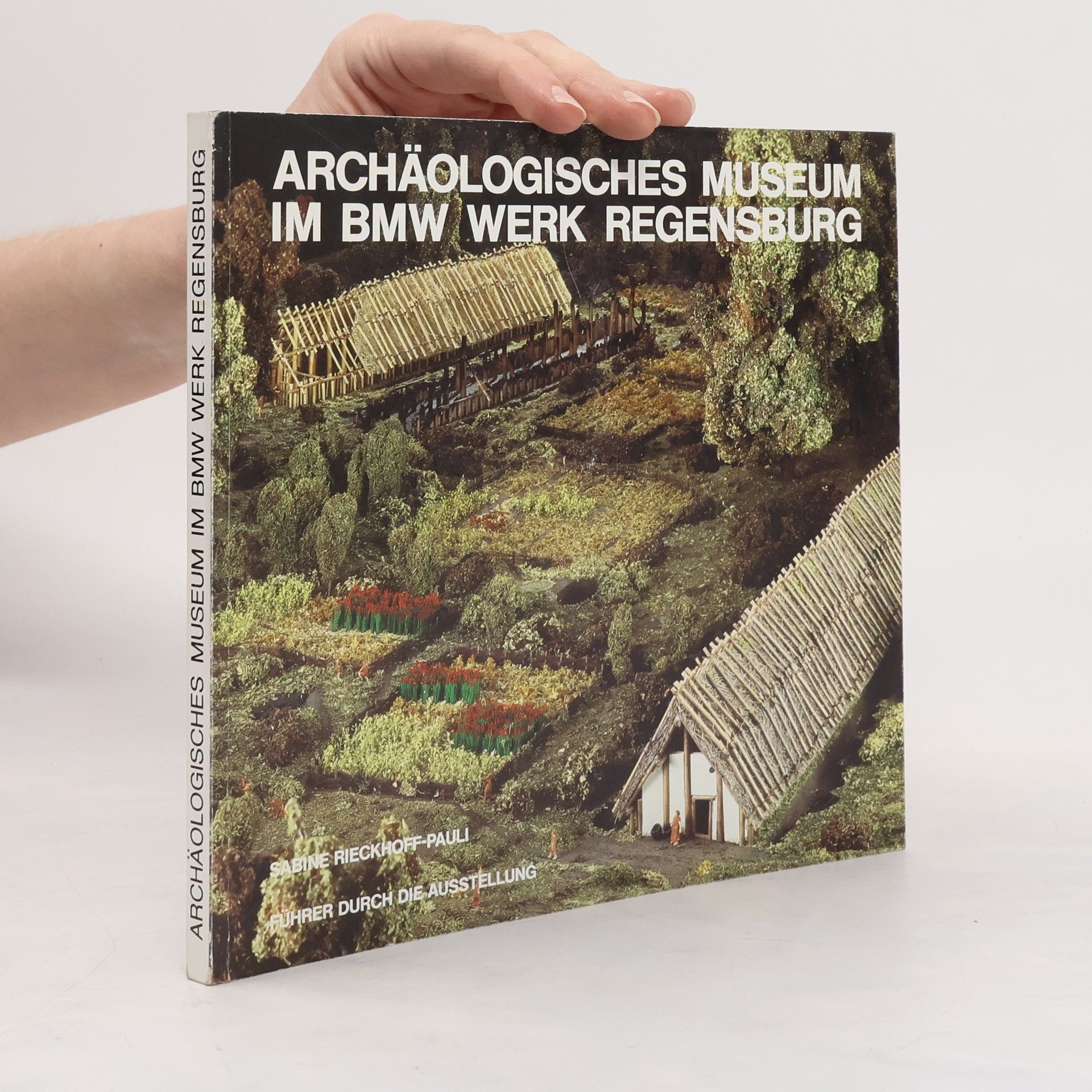 Sabine Rieckhoff Archäologisches Museum im BMW-Werk Regensburg