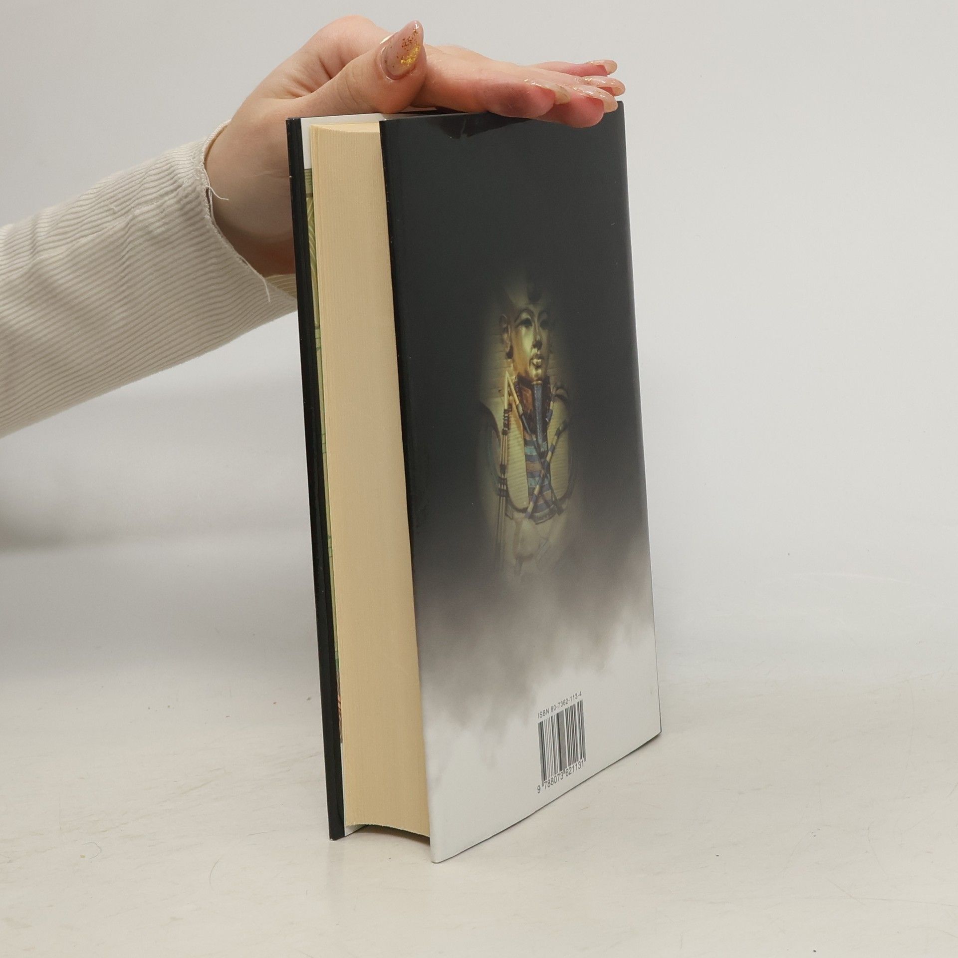 Wilbur Smith Řeka bohů II