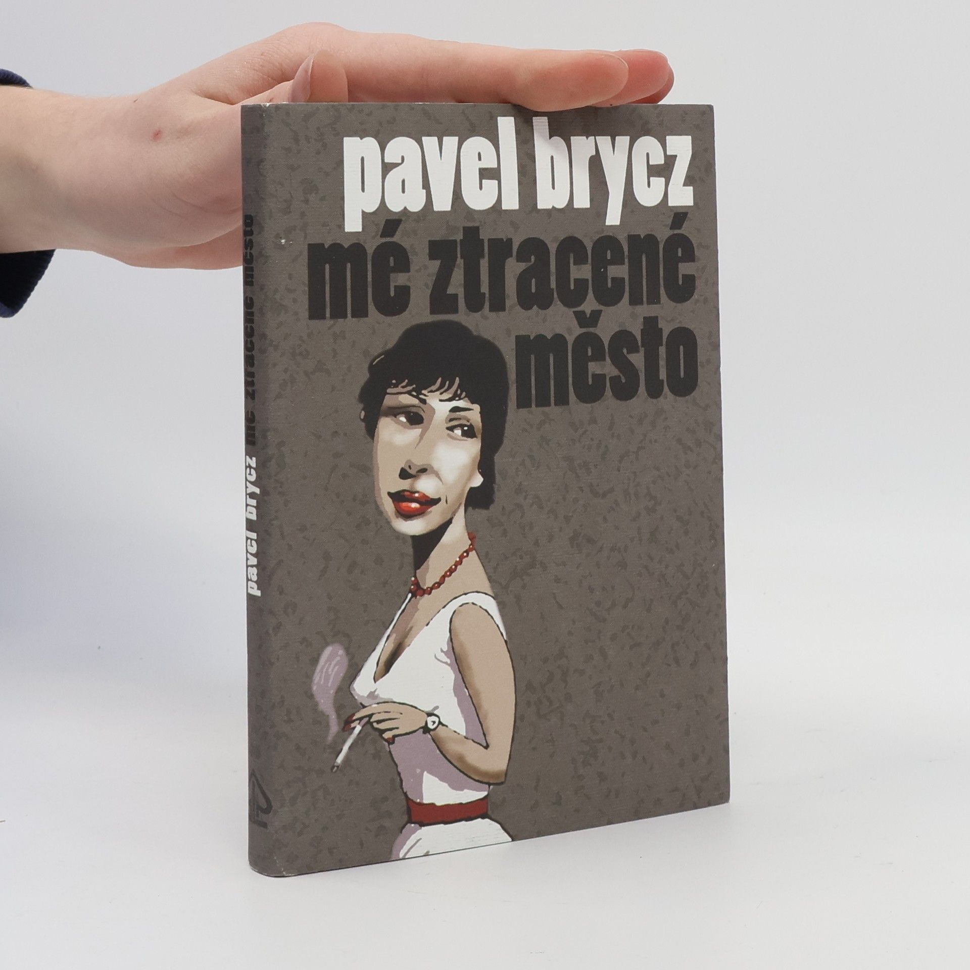Pavel Brycz Mé ztracené město