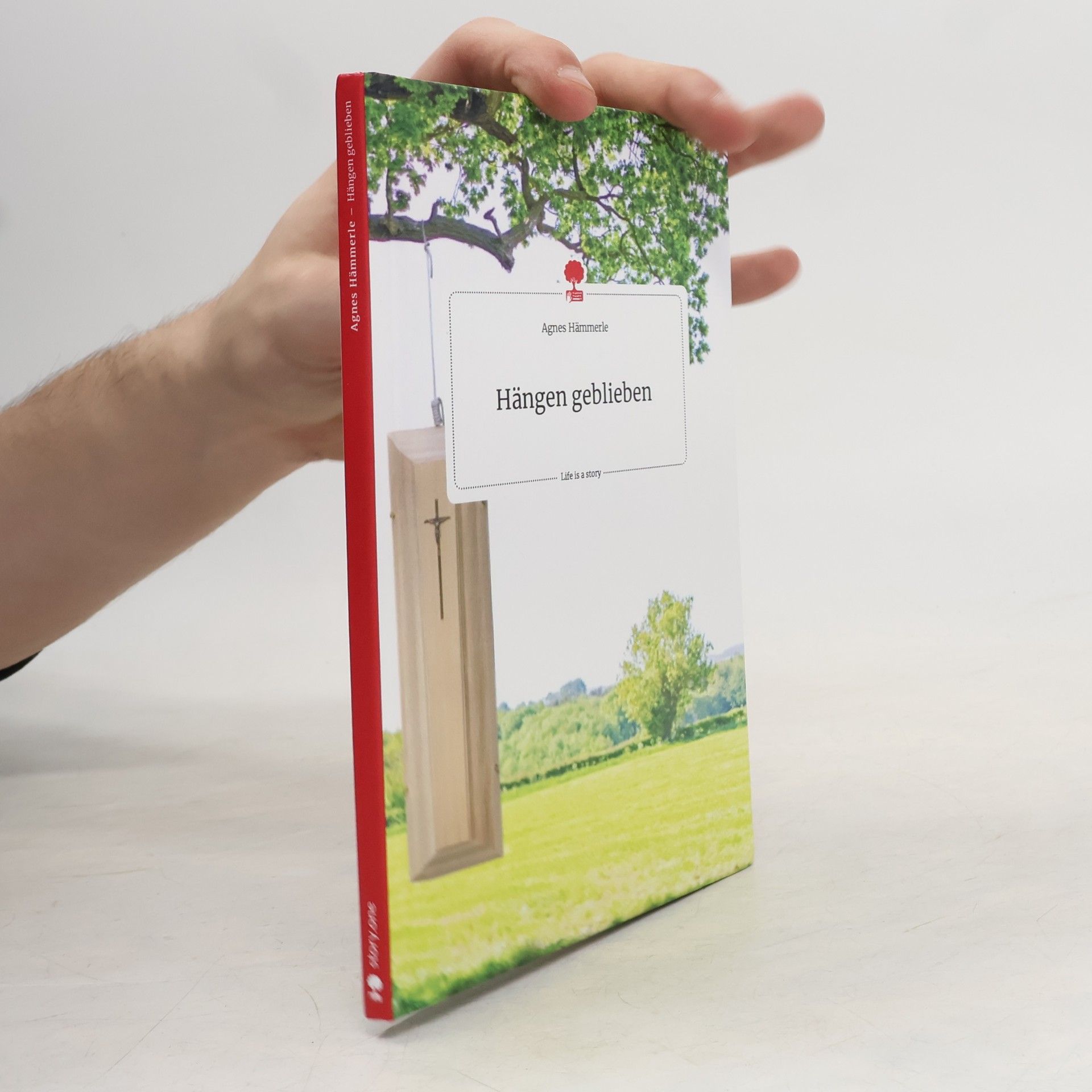 Agnes Hämmerle Hängen geblieben. Life is a Story - story.one