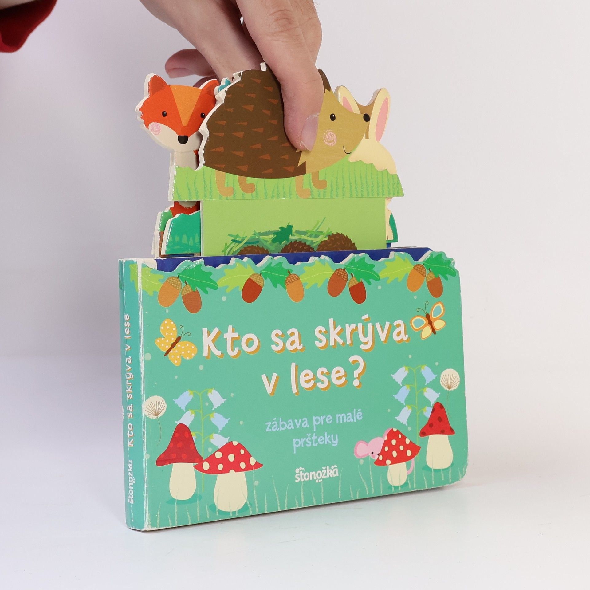 Amanda McDonough Kto sa skrýva v lese?