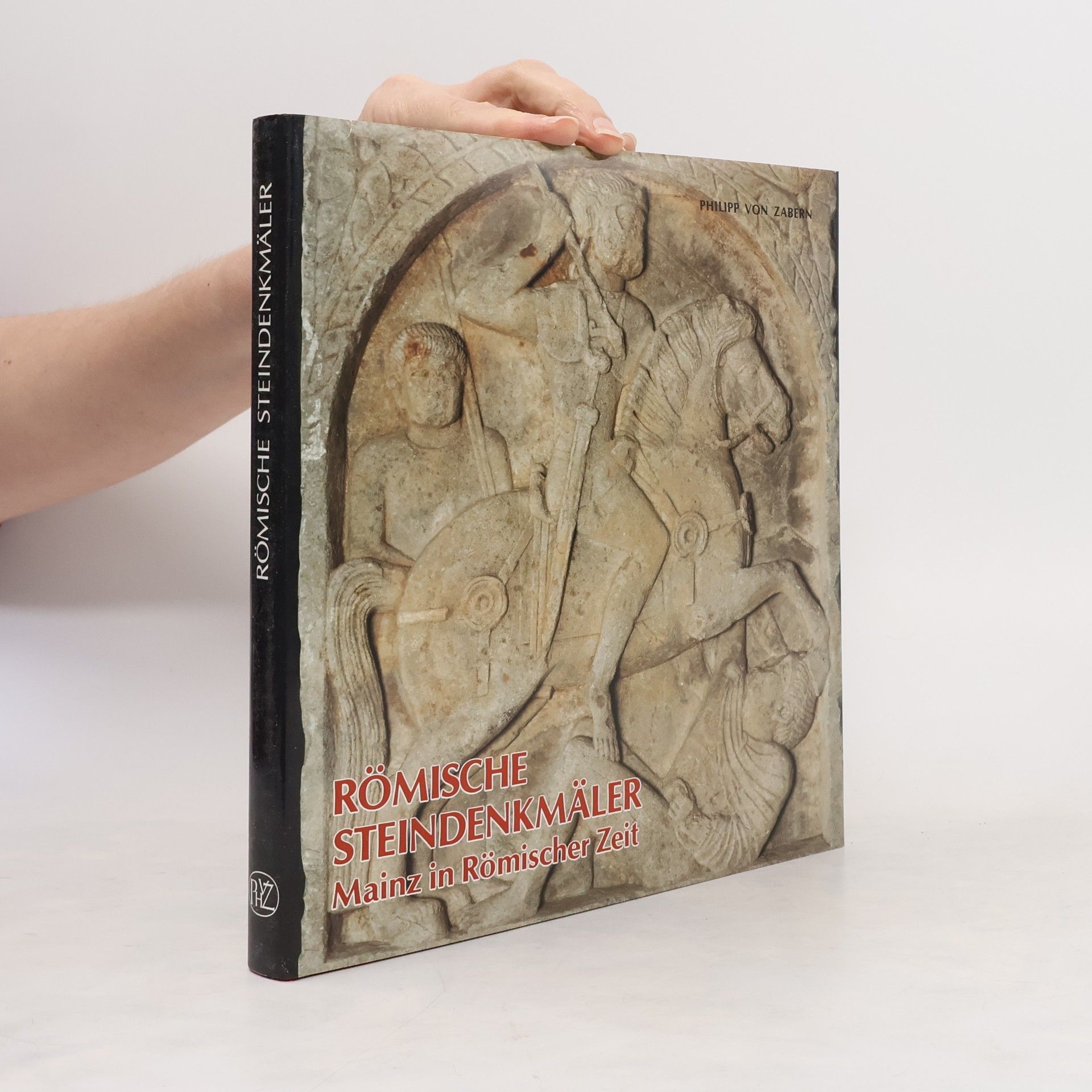 Kolektiv autorů Römische Steindenkmäler