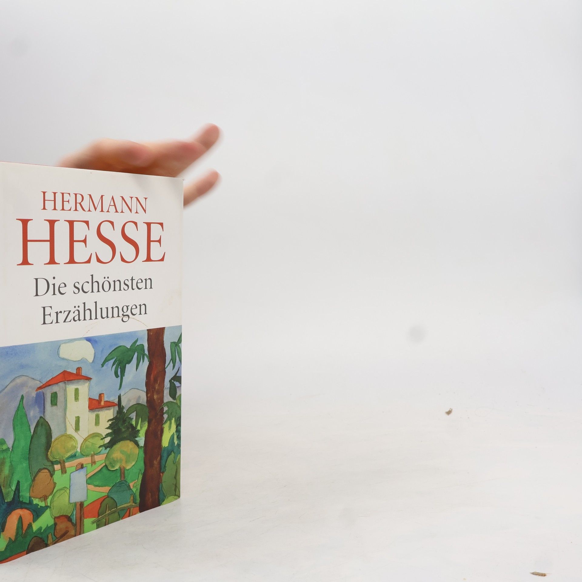 Hermann Hesse Die schönsten Erzählungen