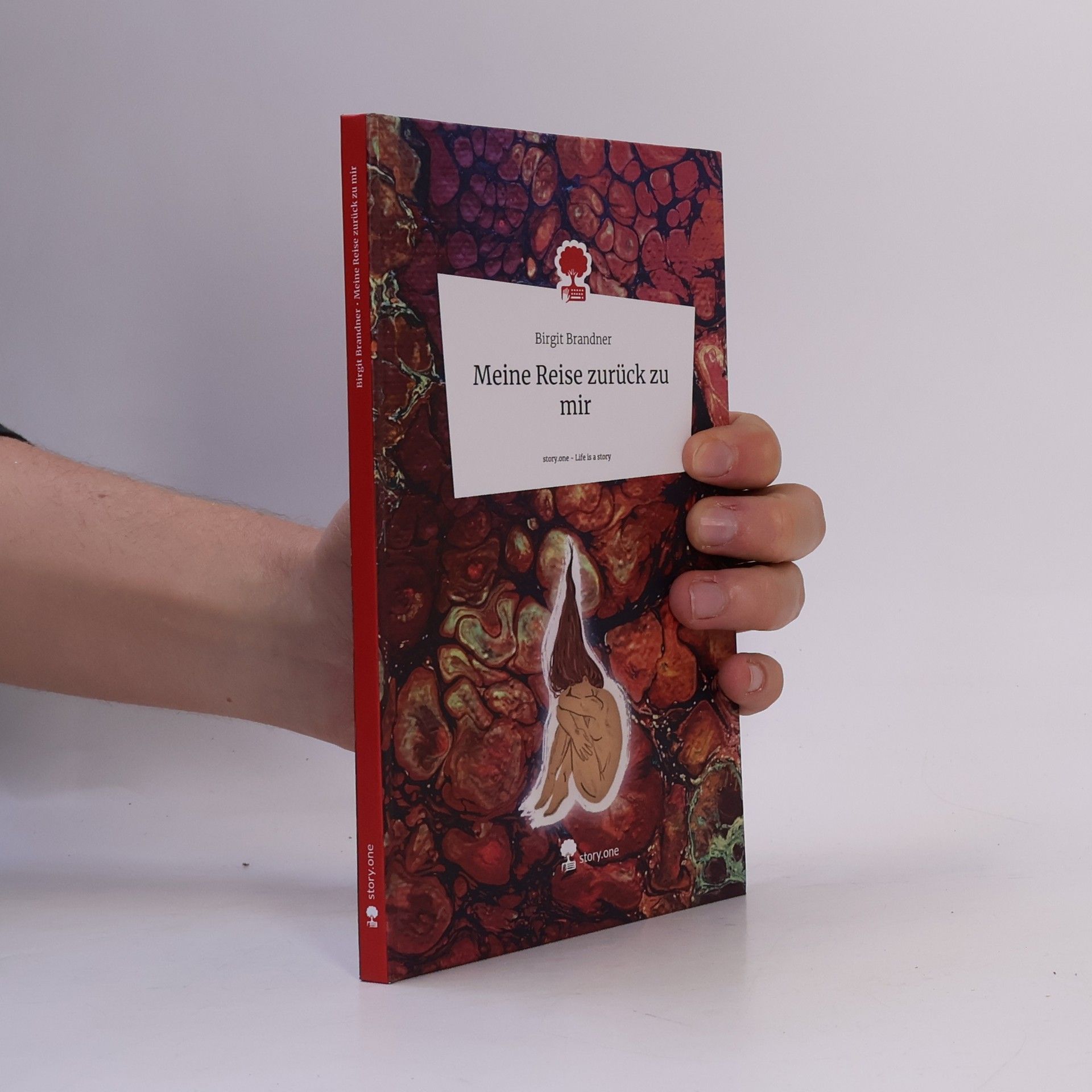 Birgit Brandner Meine Reise zurück zu mir. Life is a Story - story.one