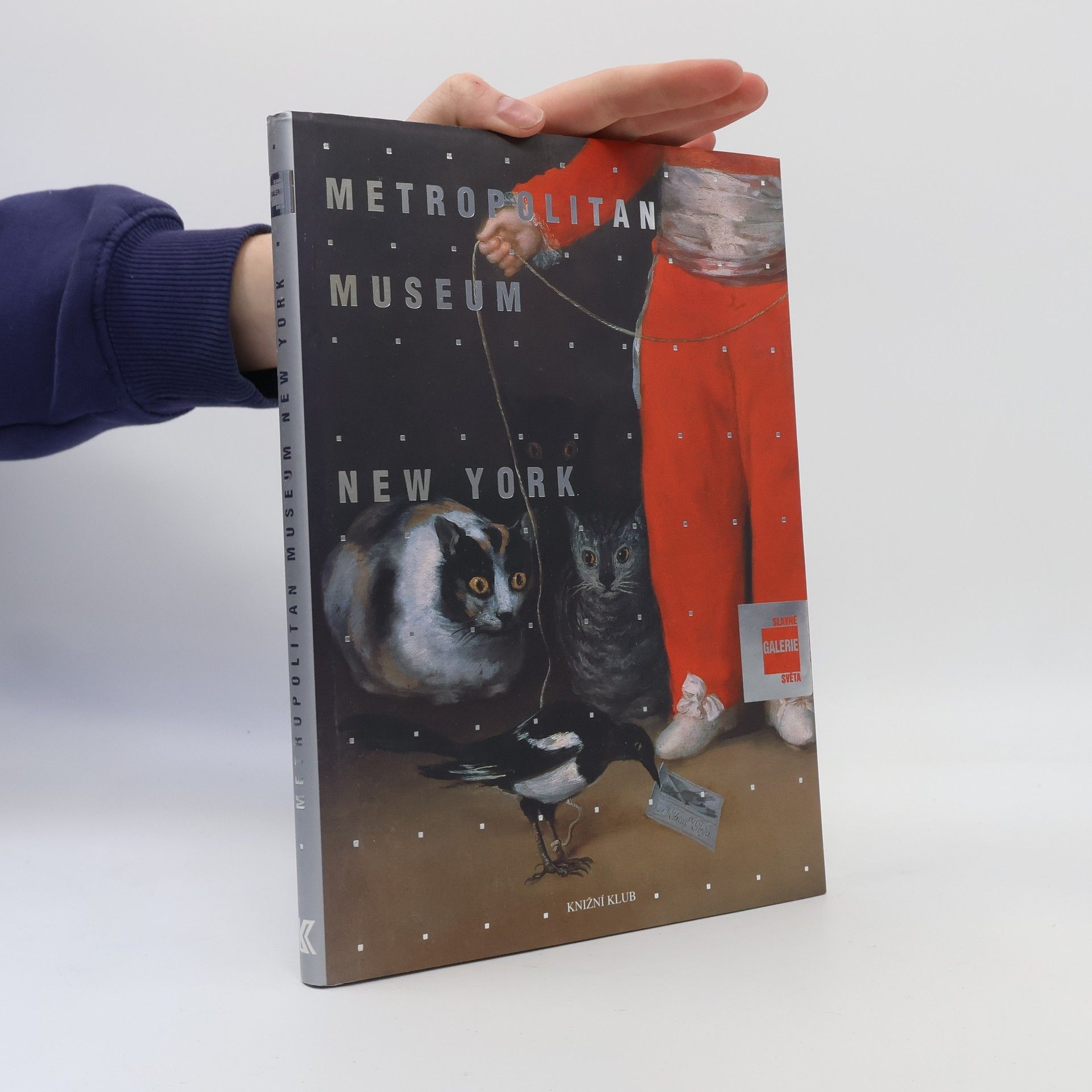 Lucia Impelluso Slavné galerie světa. Metropolitan Museum - New York