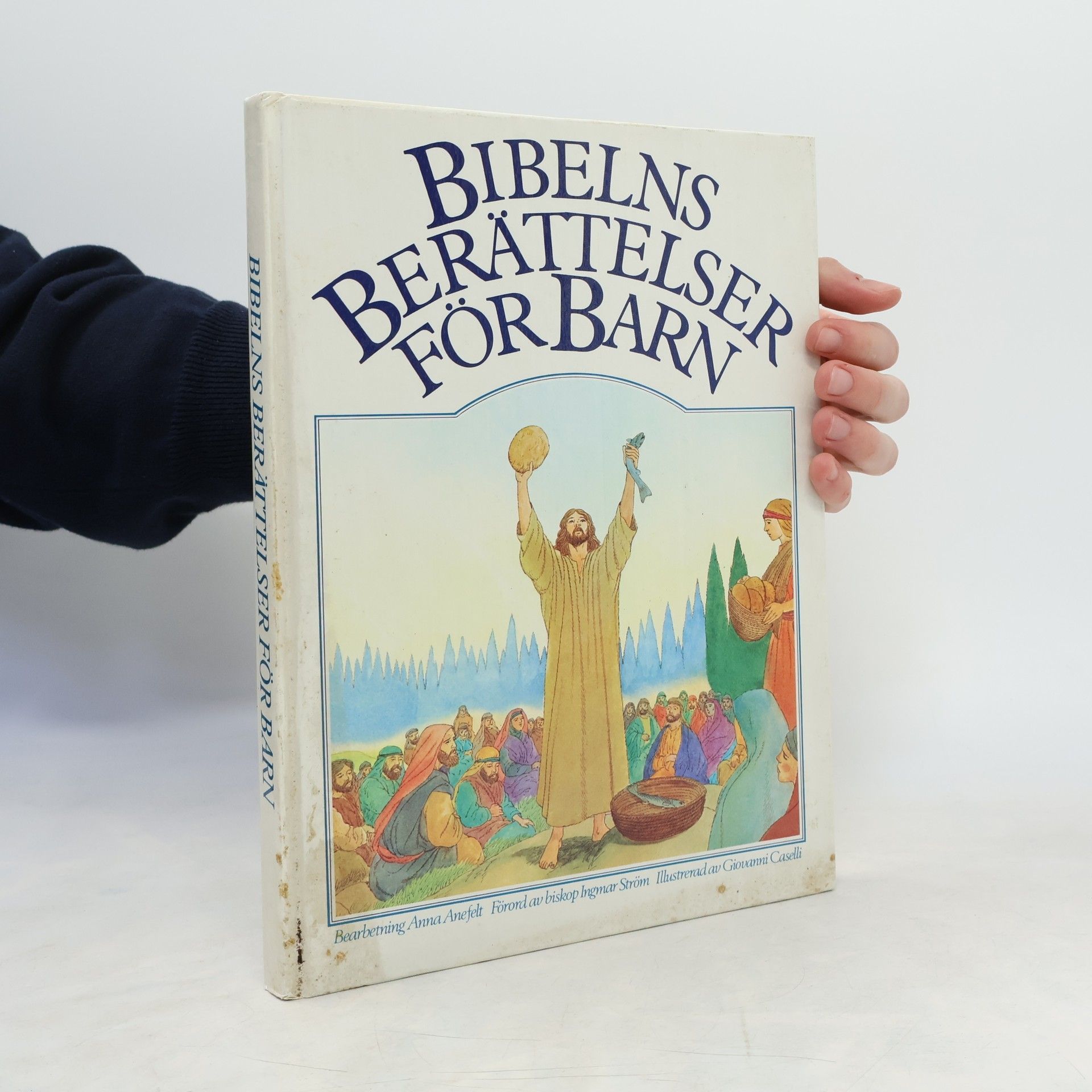 Patricia Hunt Bibelns berättelser för barn