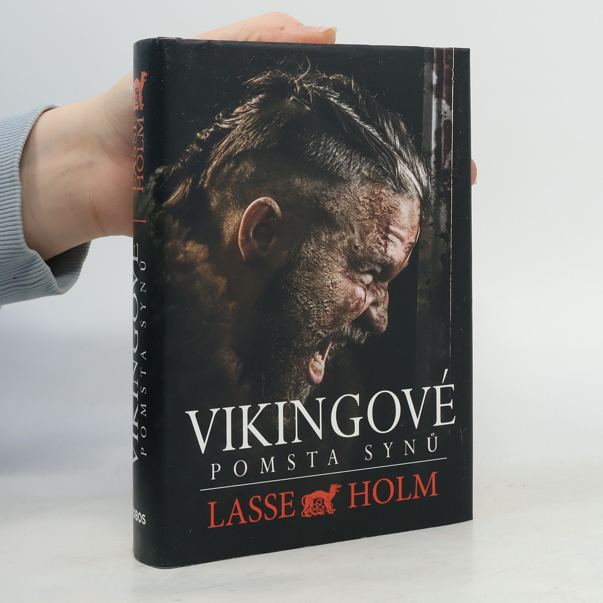 Lasse Holm Vikingové. Pomsta synů
