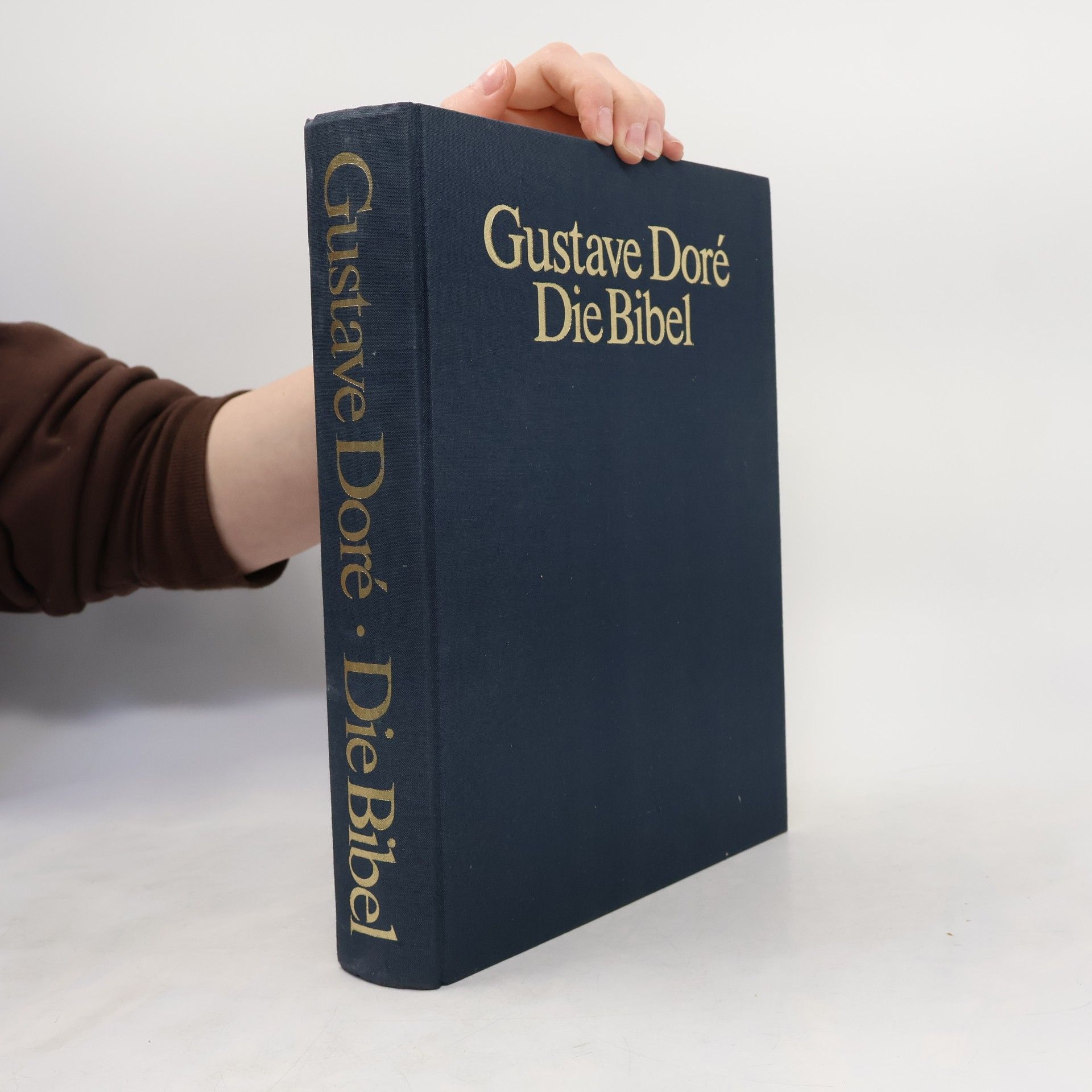 Gustave Doré Die Bibel