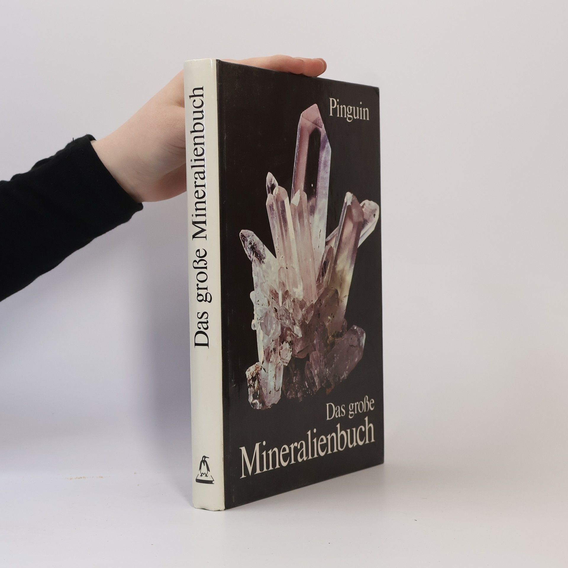 Josef Ladurner Das grosse Mineralienbuch