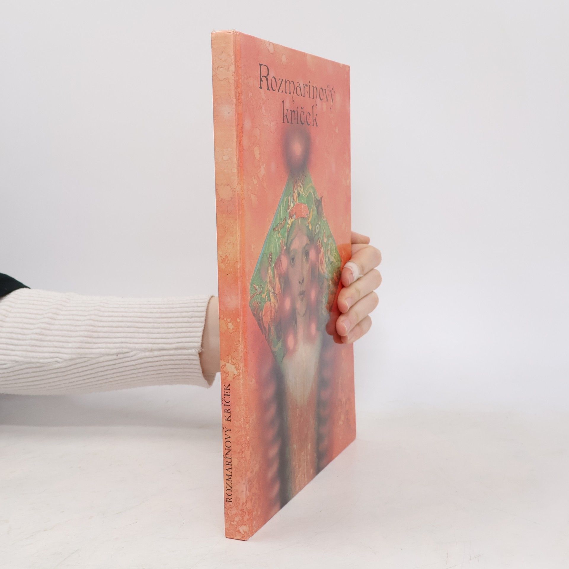 Rozmarínový kríček