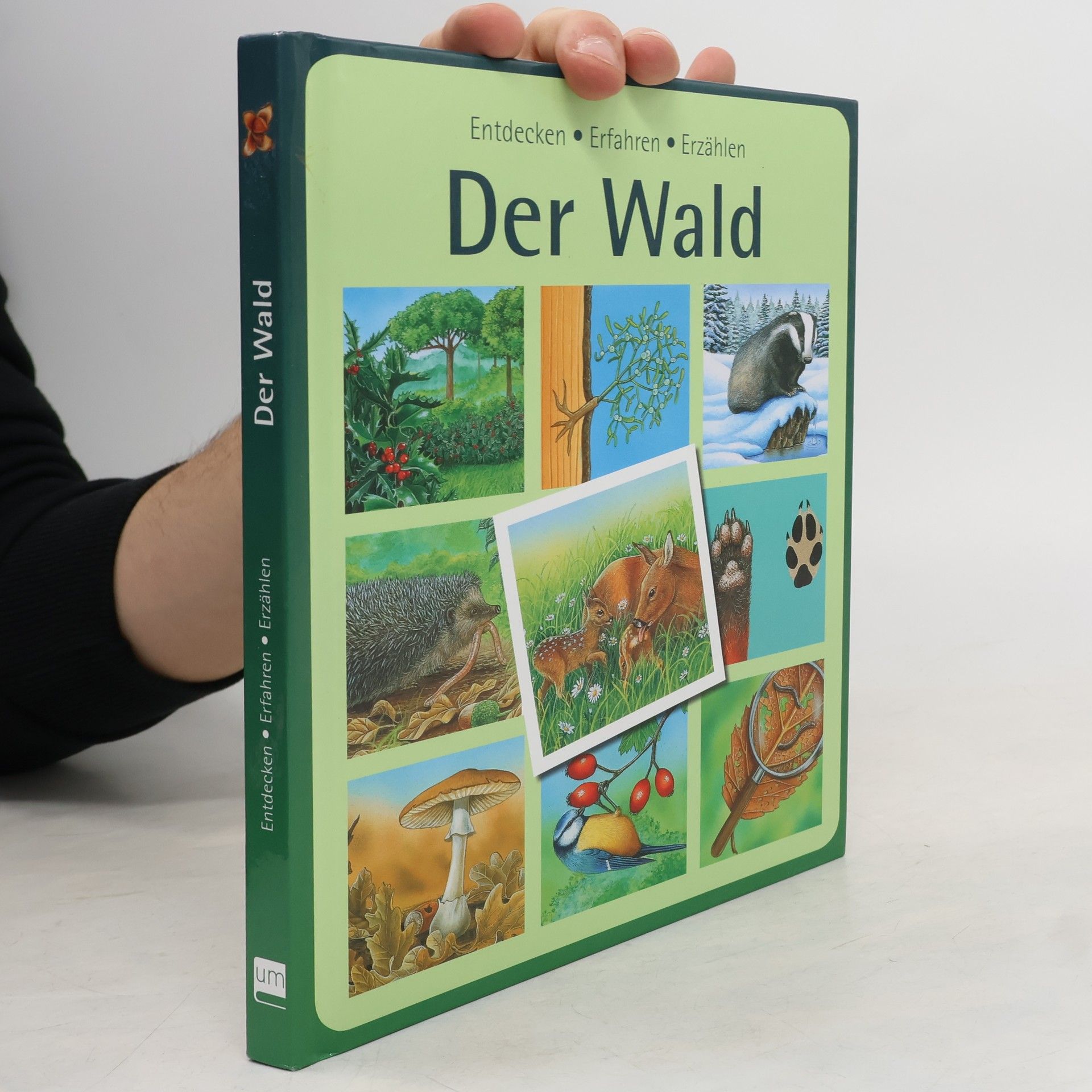 Marie-Renée Pimont Der Wald