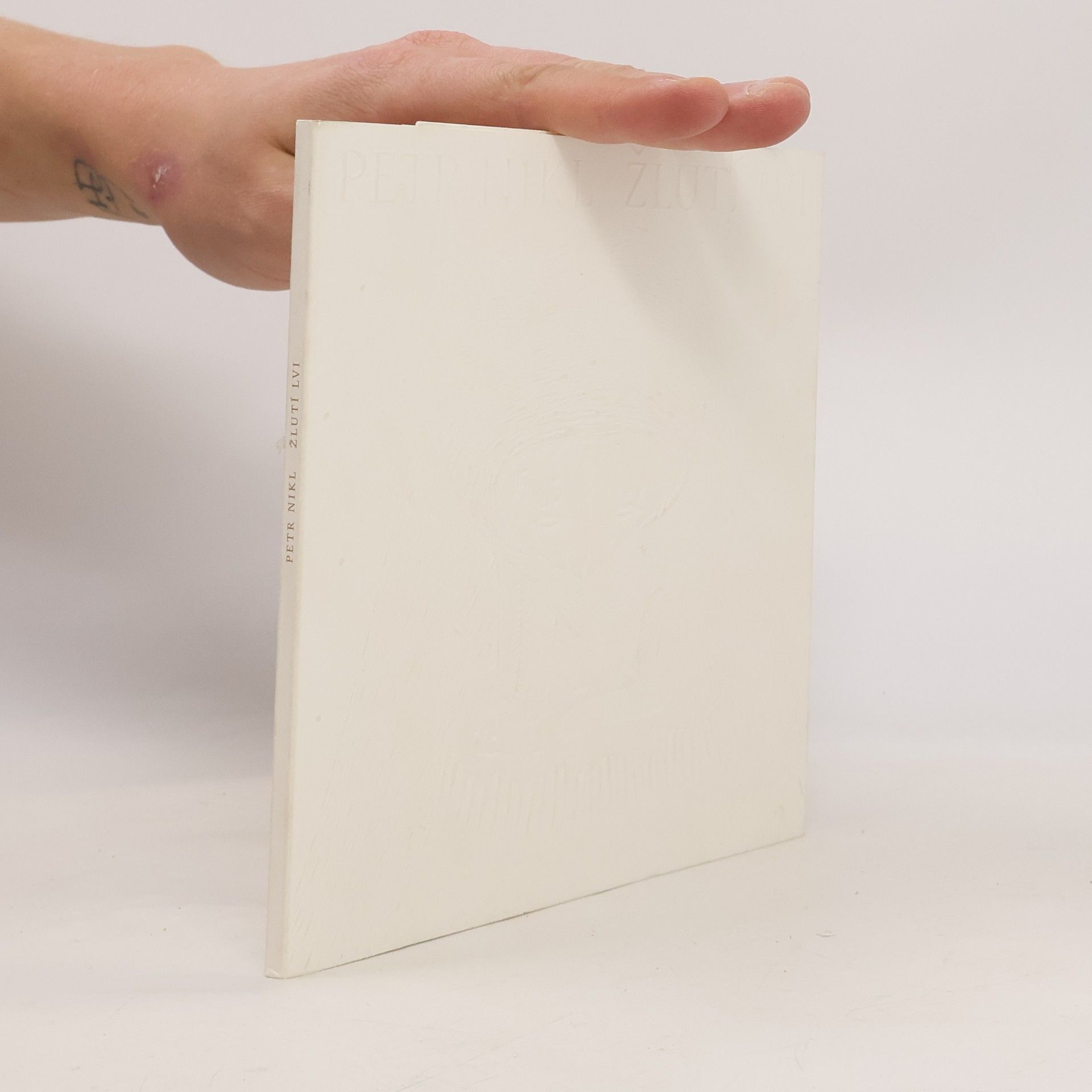 Petr Nikl Žlutí lvi