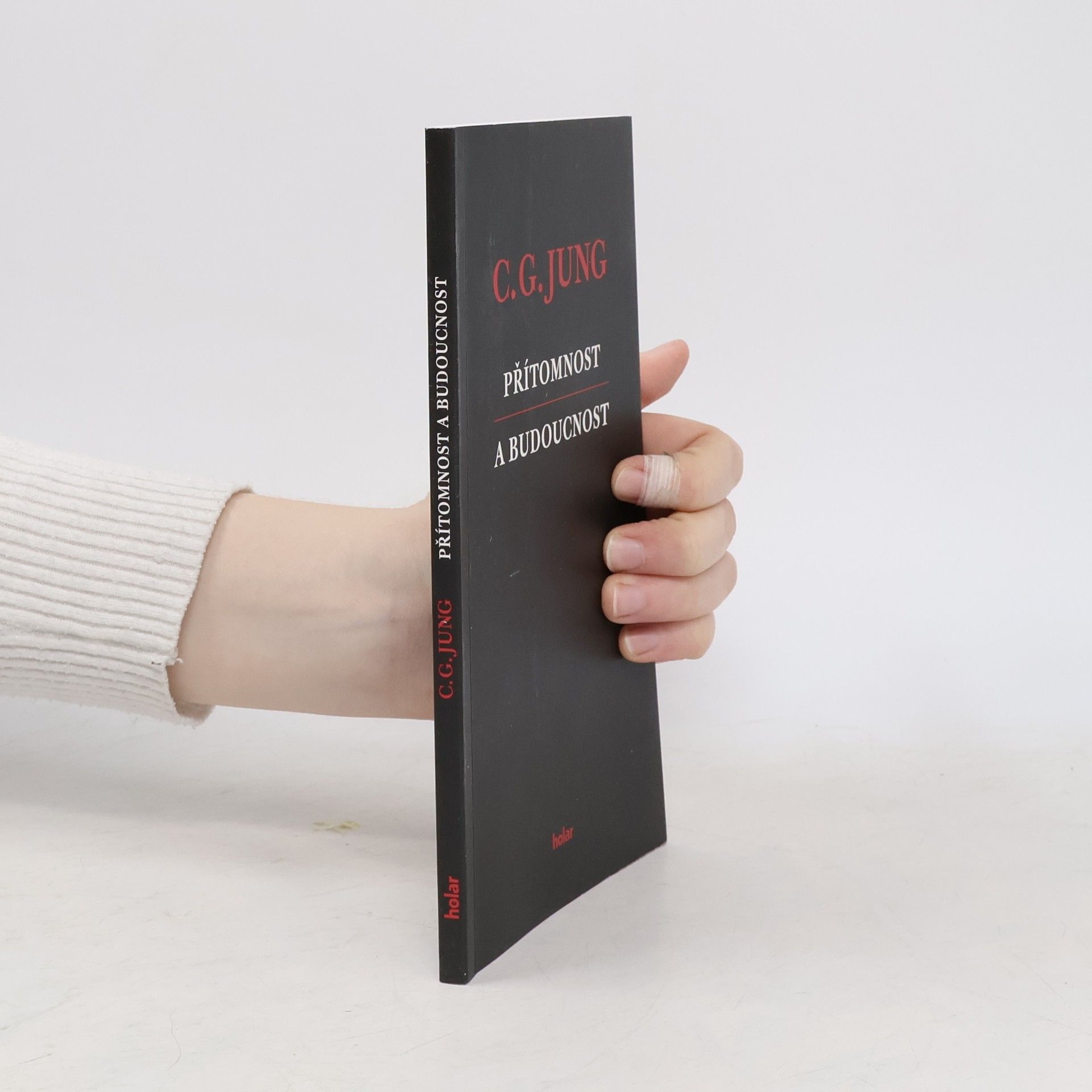 Carl Gustav Jung Přítomnost a budoucnost