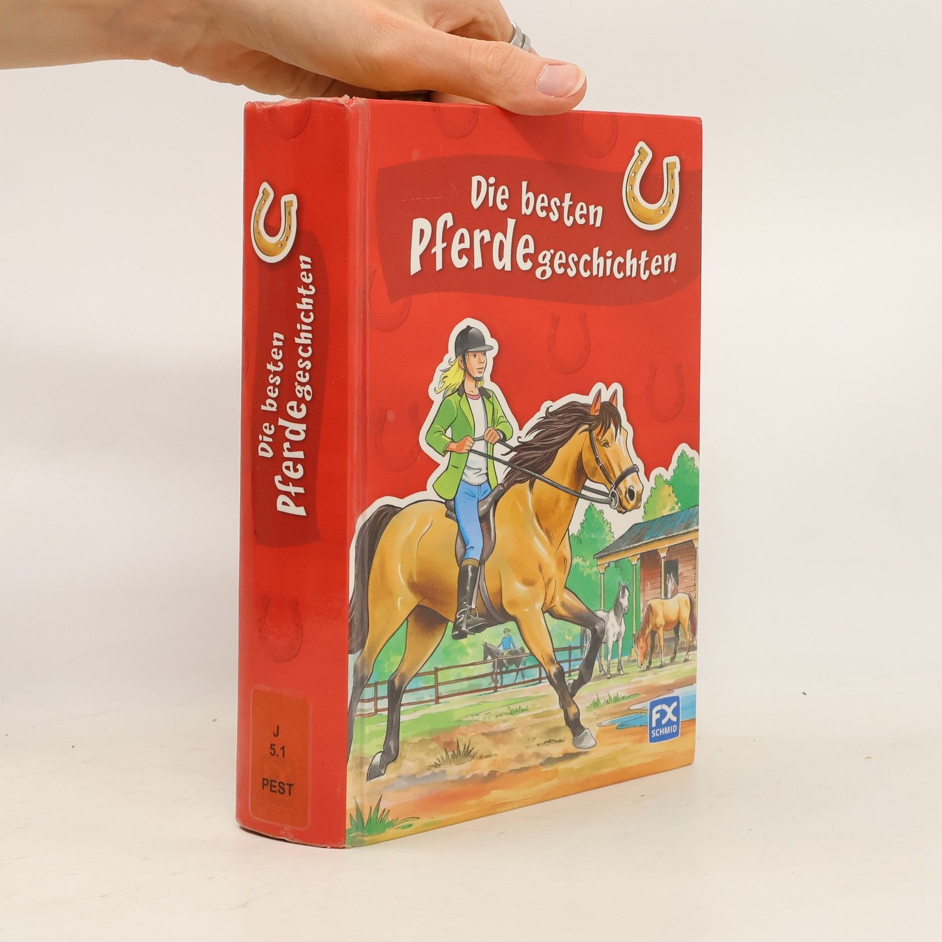 Jo Pestum Die besten Pferdegeschichten