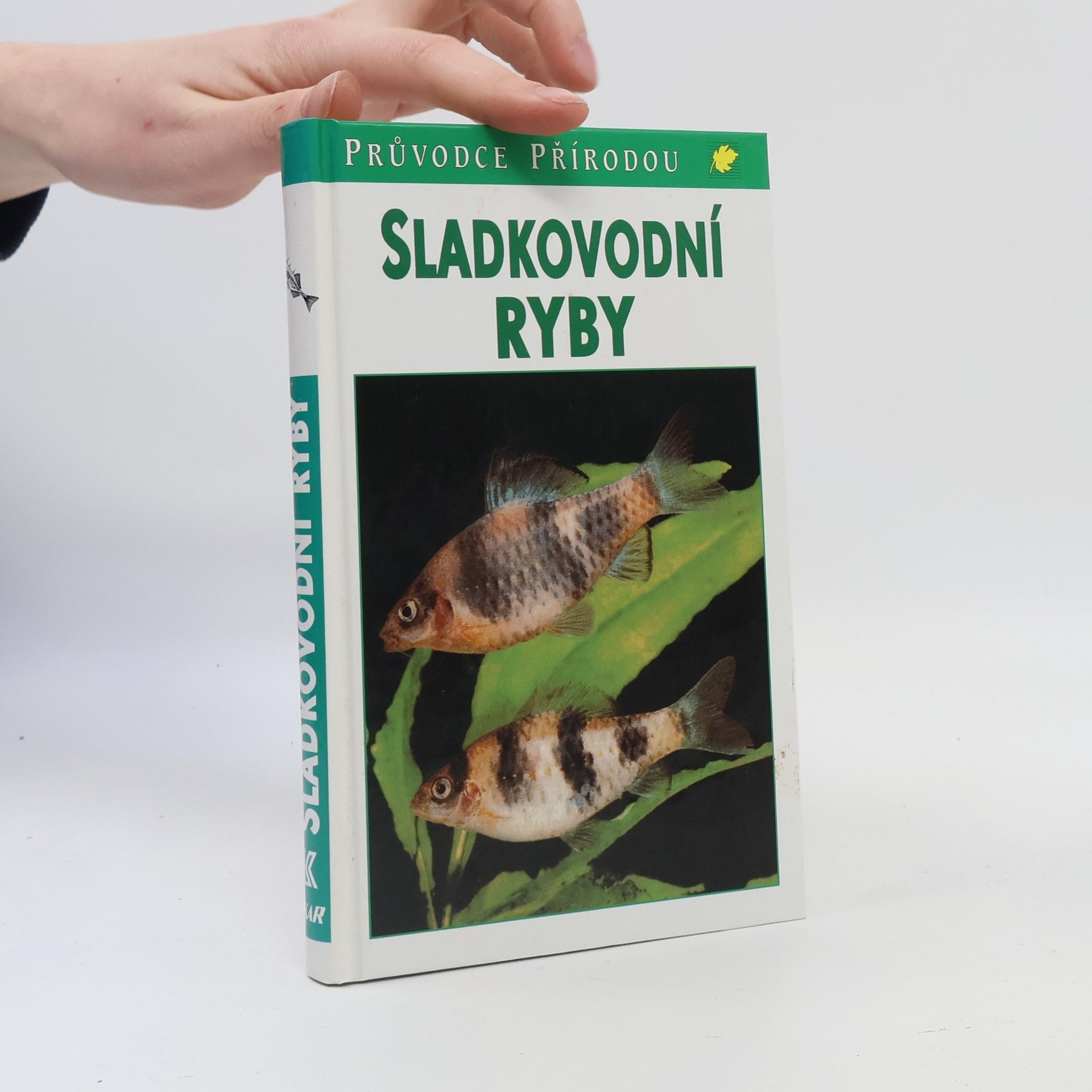 Autorenkollektiv Sladkovodní ryby v evropských vodách