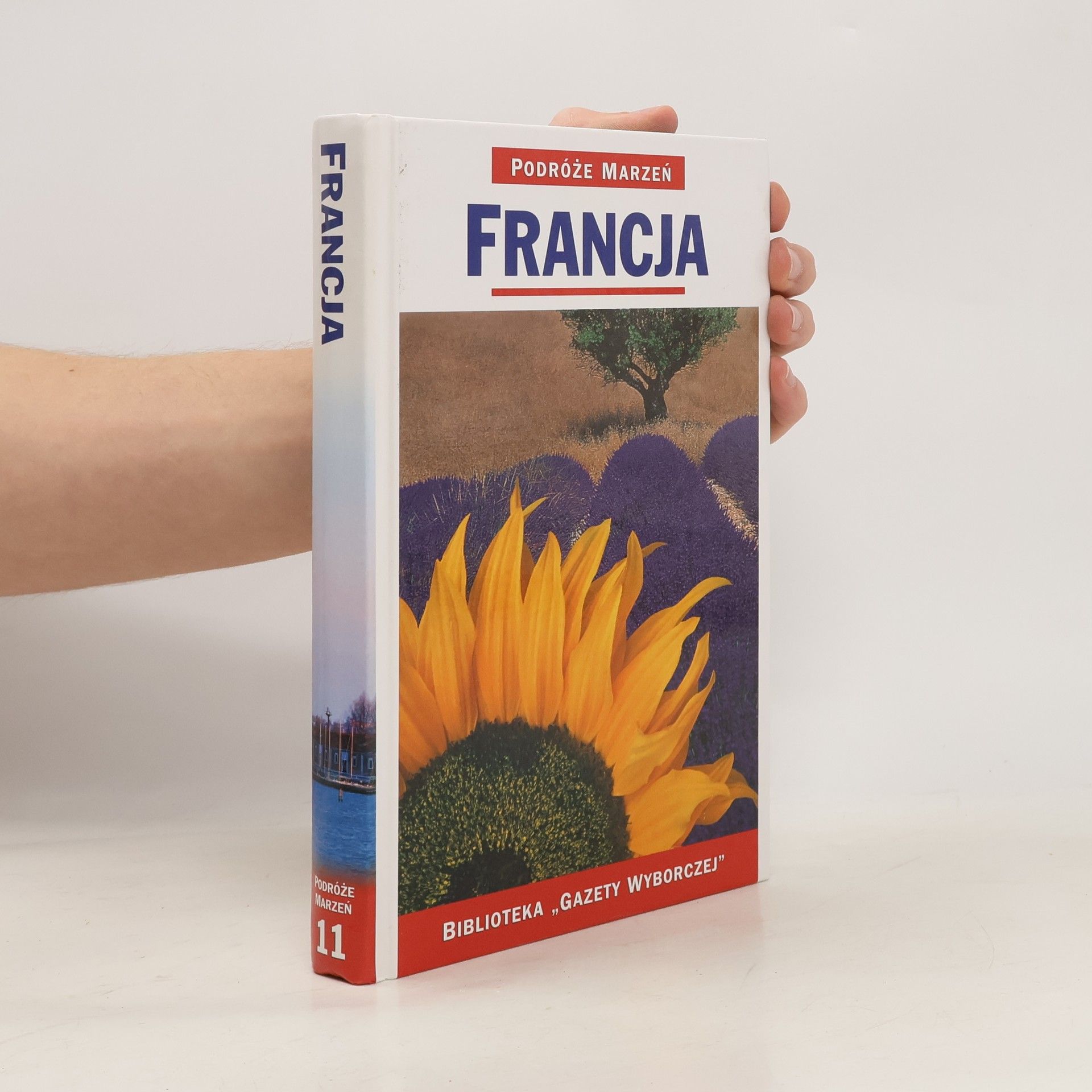 Joanna Zaborowska Francja