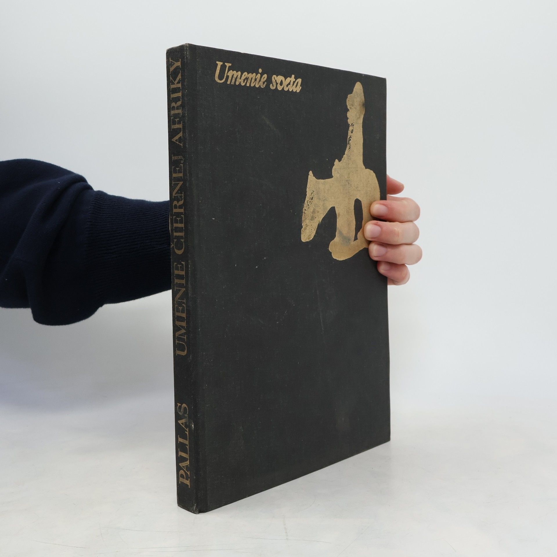 Alina Trojanová Umenie čiernej Afriky