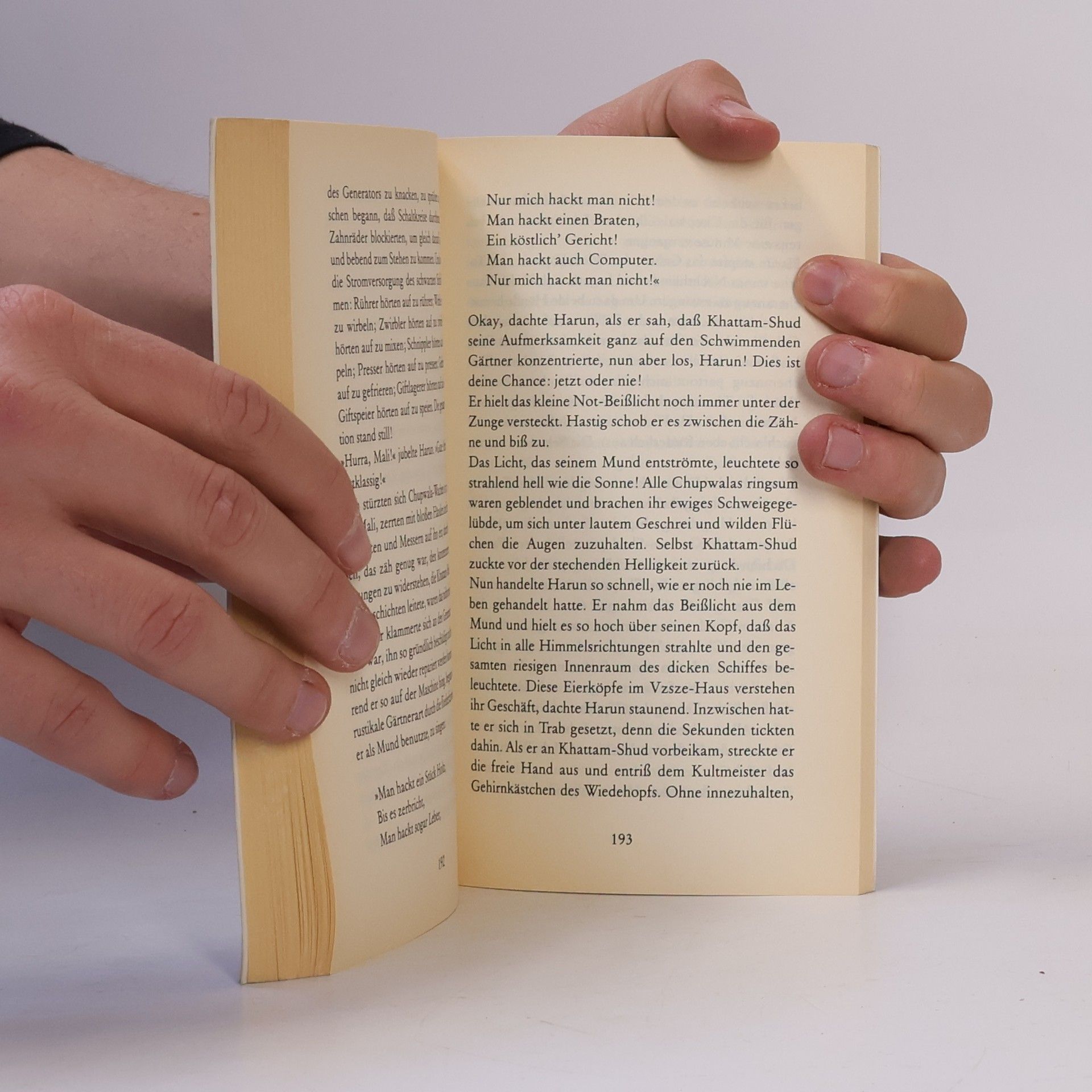 Salman Rushdie Harun und das Meer der Geschichten