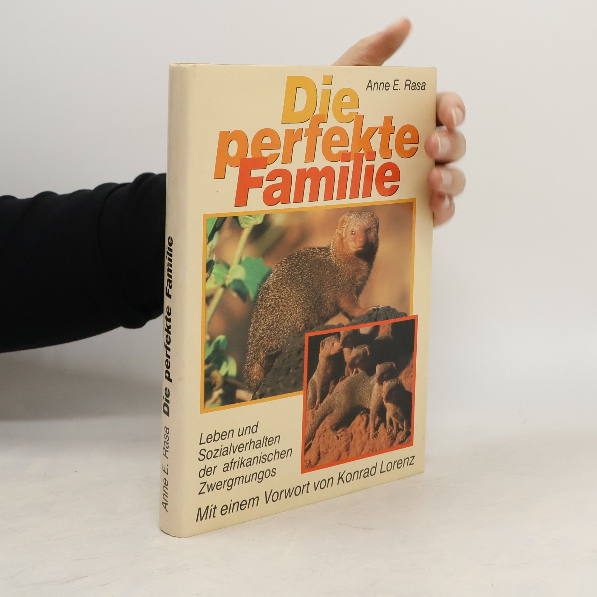 Die perfekte Familie